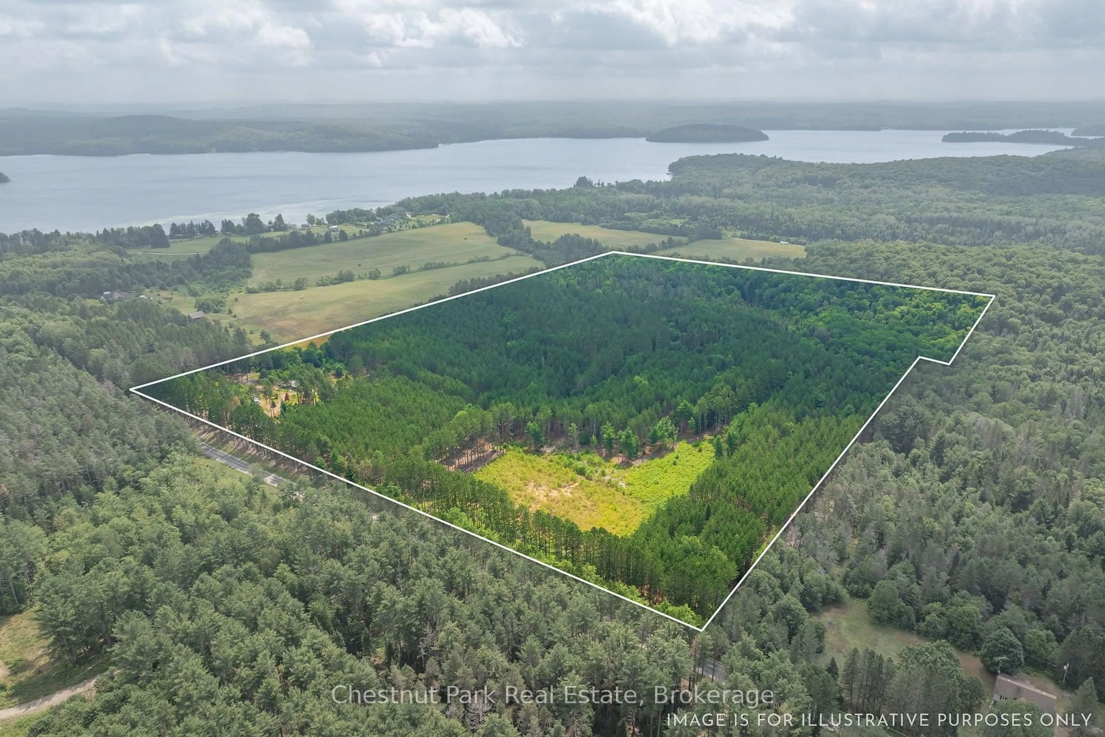 A pic from outside/outdoor area/front of a property/back of a property/a pic from drone, water/lake/river/ocean view for 165 James Camp Rd, Ryerson Ontario P0A 1C0