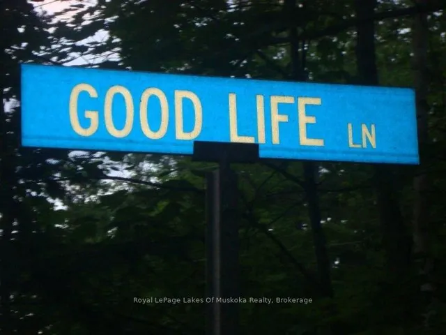 1012 Goodlife Lane, Algonquin Highlands 3