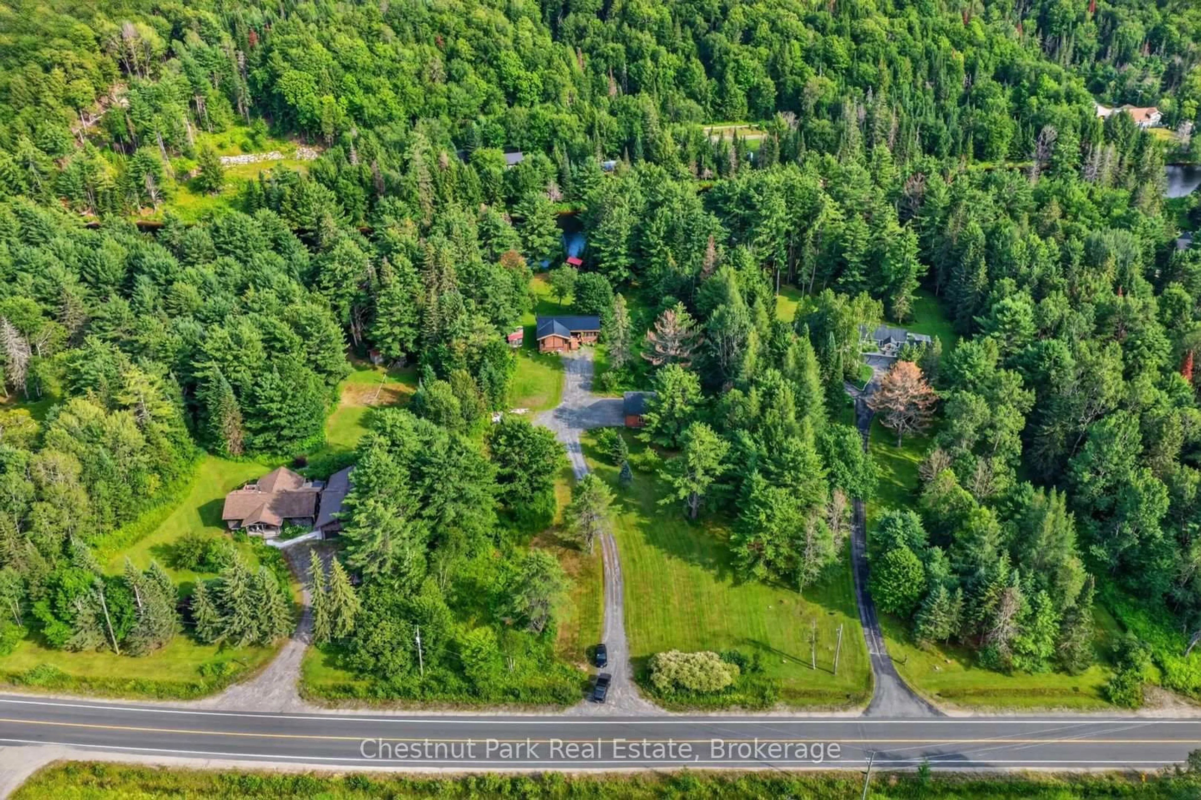 A pic from outside/outdoor area/front of a property/back of a property/a pic from drone, forest/trees view for 1162 High Falls Rd, Bracebridge Ontario P1L 1W9