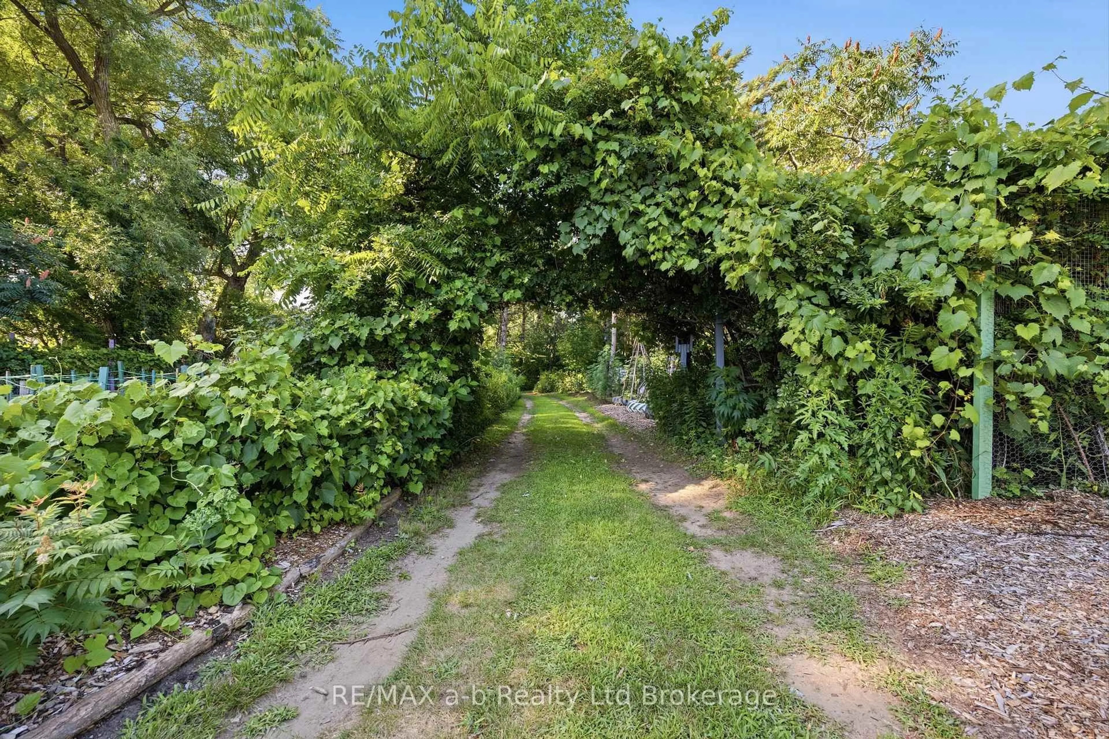 A pic from outside/outdoor area/front of a property/back of a property/a pic from drone, forest/trees view for 55424 Lakeshore Rd, Bayham Ontario N0J 1T0