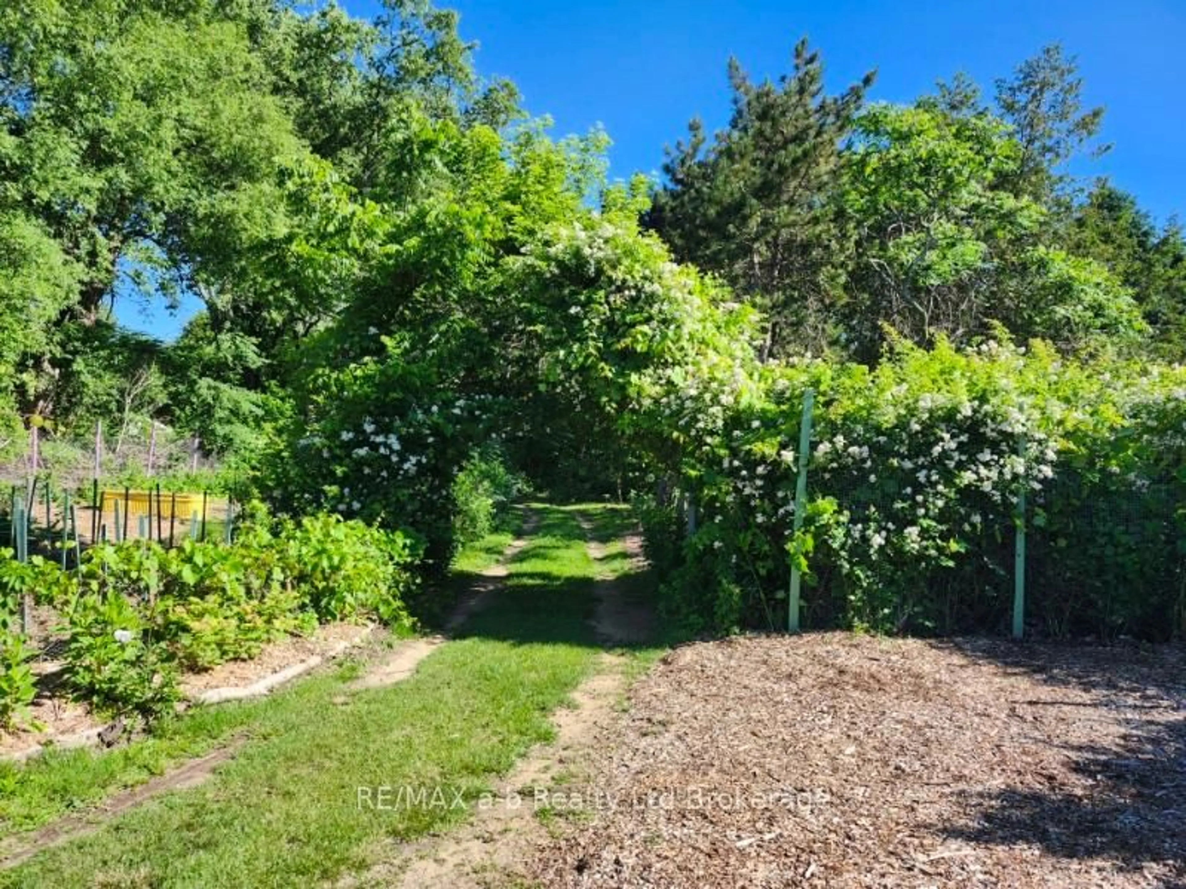 A pic from outside/outdoor area/front of a property/back of a property/a pic from drone, forest/trees view for 55424 Lakeshore Rd, Bayham Ontario N0J 1T0