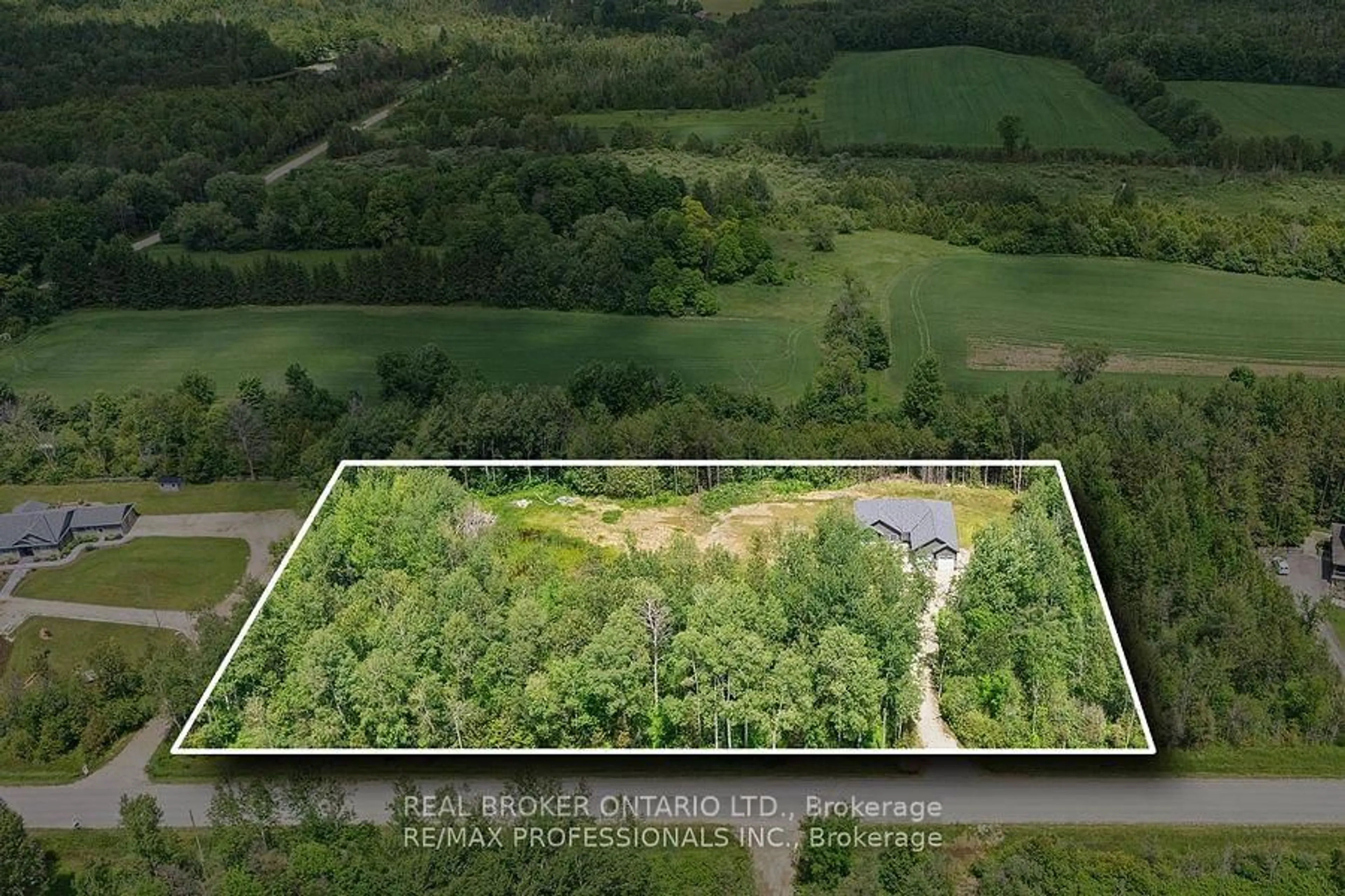 A pic from outside/outdoor area/front of a property/back of a property/a pic from drone, forest/trees view for 734565 West Back Line, Grey Highlands Ontario N0C 1H0