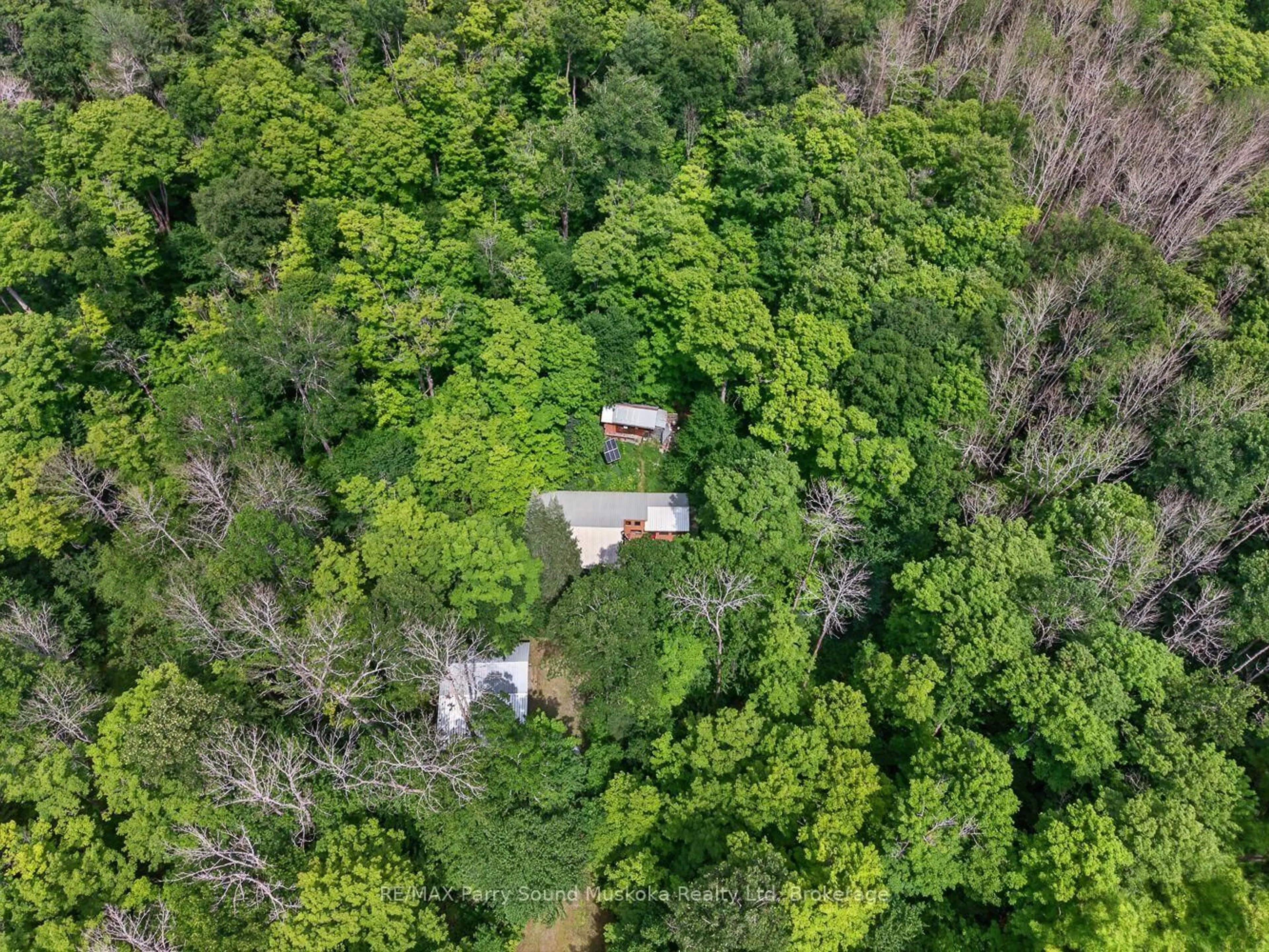 A pic from outside/outdoor area/front of a property/back of a property/a pic from drone, forest/trees view for 32 Shady Maple Tr, Whitestone Ontario P0G 1G0