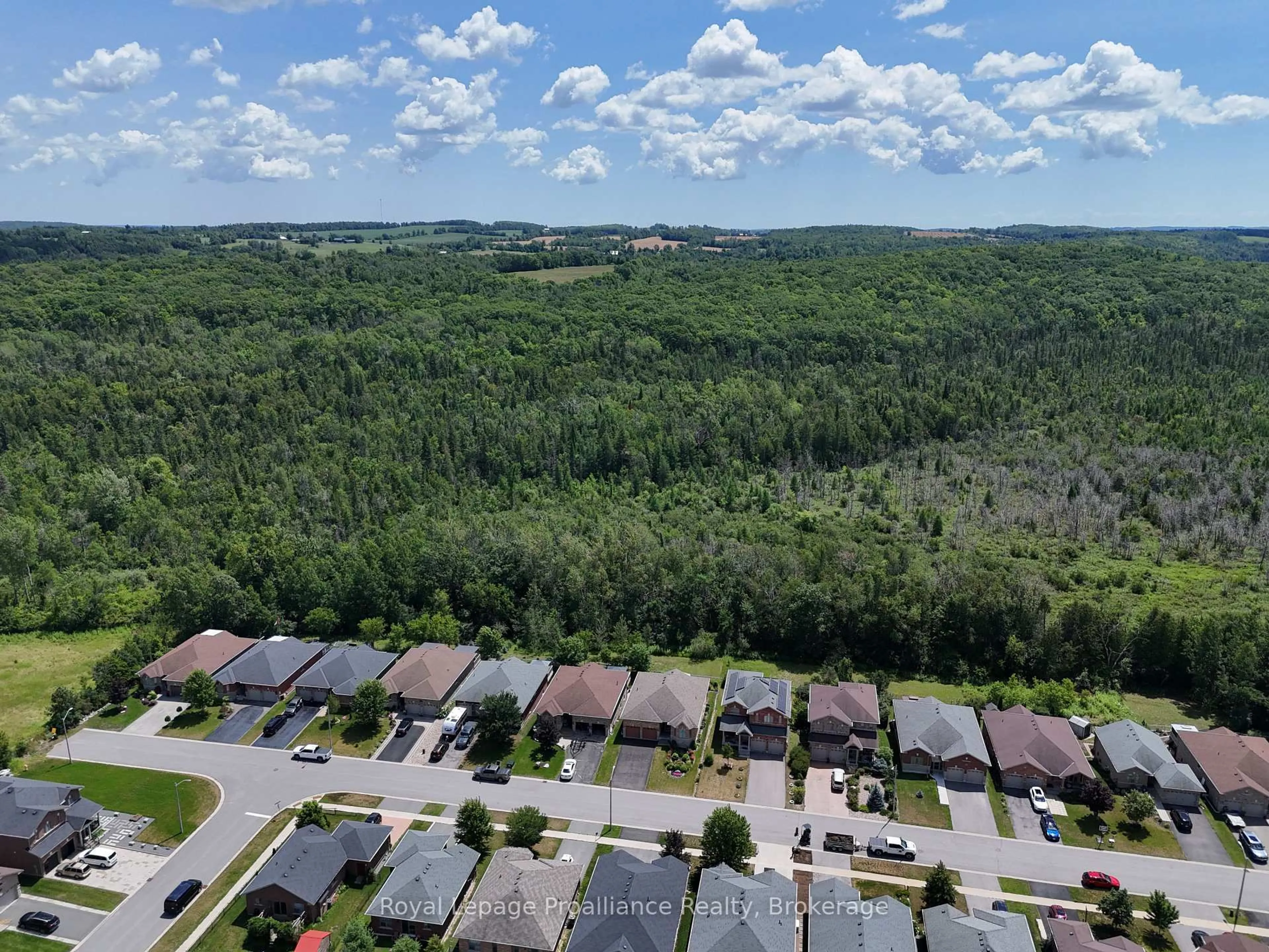A pic from outside/outdoor area/front of a property/back of a property/a pic from drone, forest/trees view for 46 White Hart Lane, Trent Hills Ontario K0L 1Y0