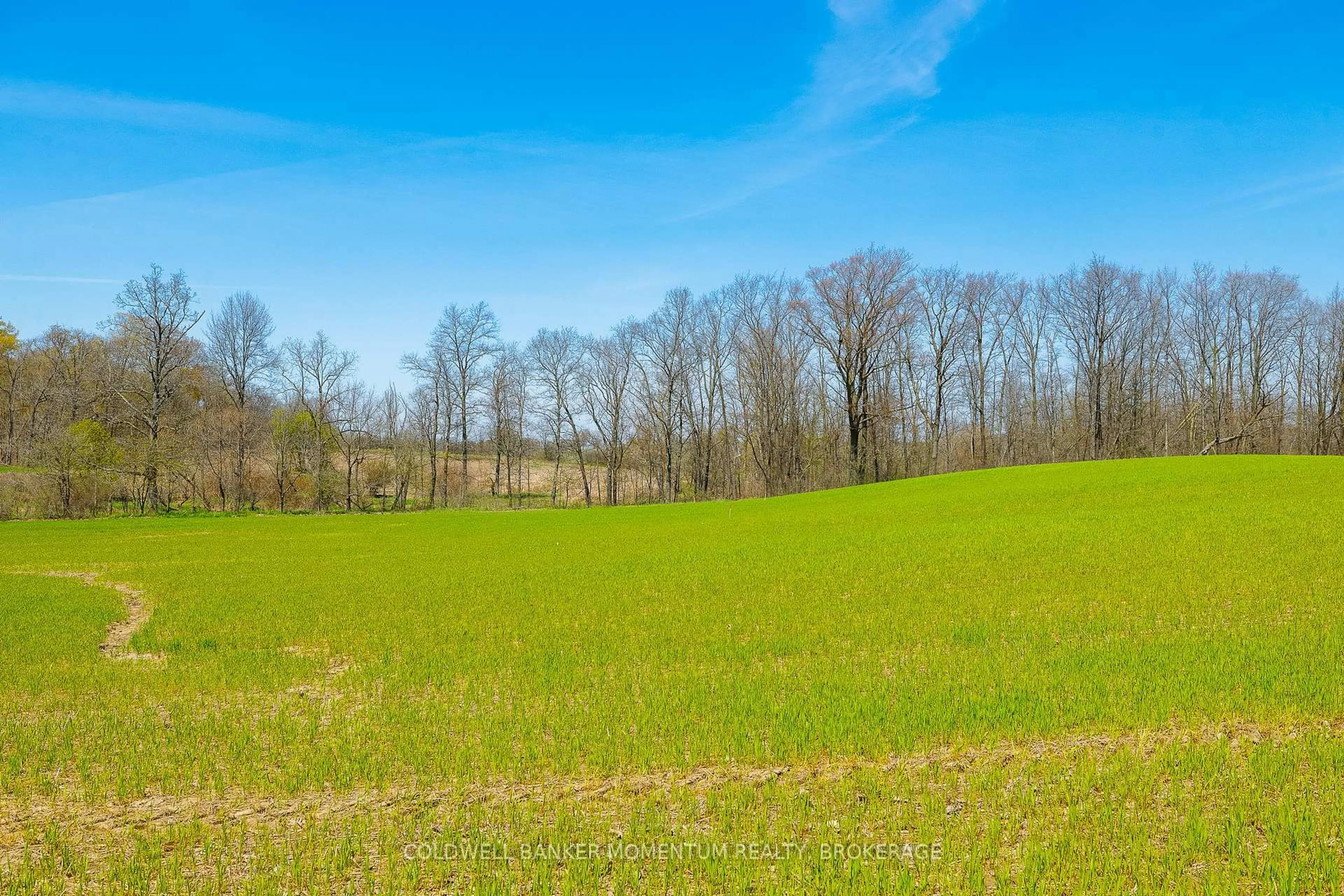 A pic from outside/outdoor area/front of a property/back of a property/a pic from drone, forest/trees view for Pt Lot 7 Con 9 Tintern Rd, Lincoln Ontario L0R 2C0
