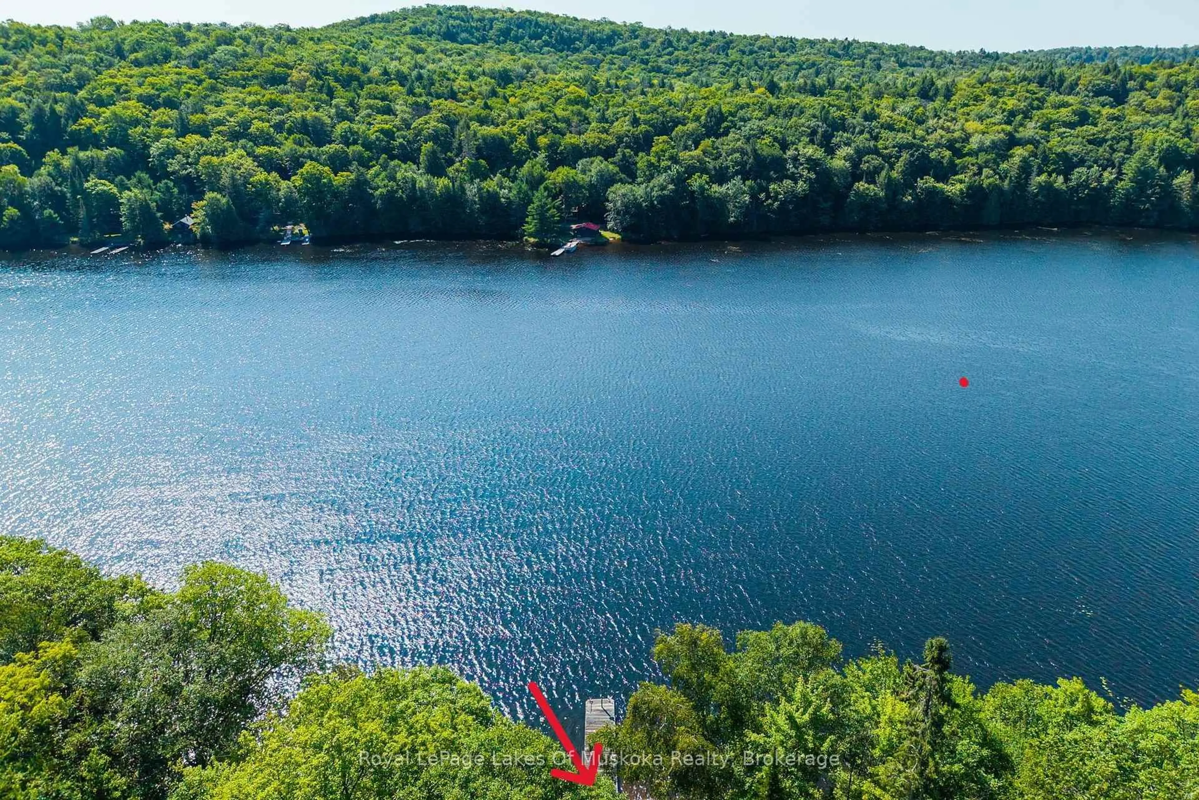 A pic from outside/outdoor area/front of a property/back of a property/a pic from drone, water/lake/river/ocean view for 1187 Ivy Lane, Algonquin Highlands Ontario P0A 1E0