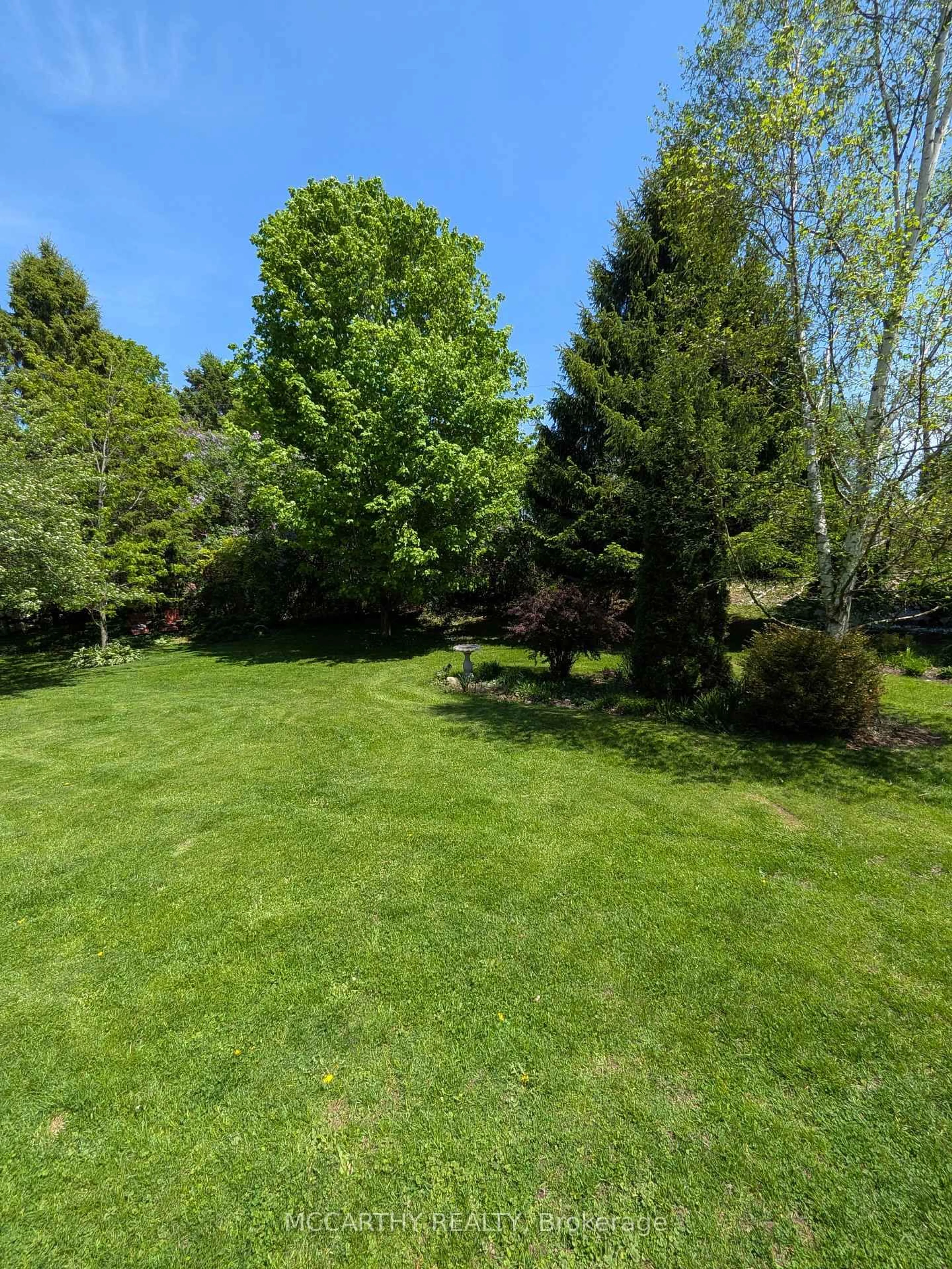 A pic from outside/outdoor area/front of a property/back of a property/a pic from drone, forest/trees view for 11 Lynda Ave, Mono Ontario L9W 1Z4