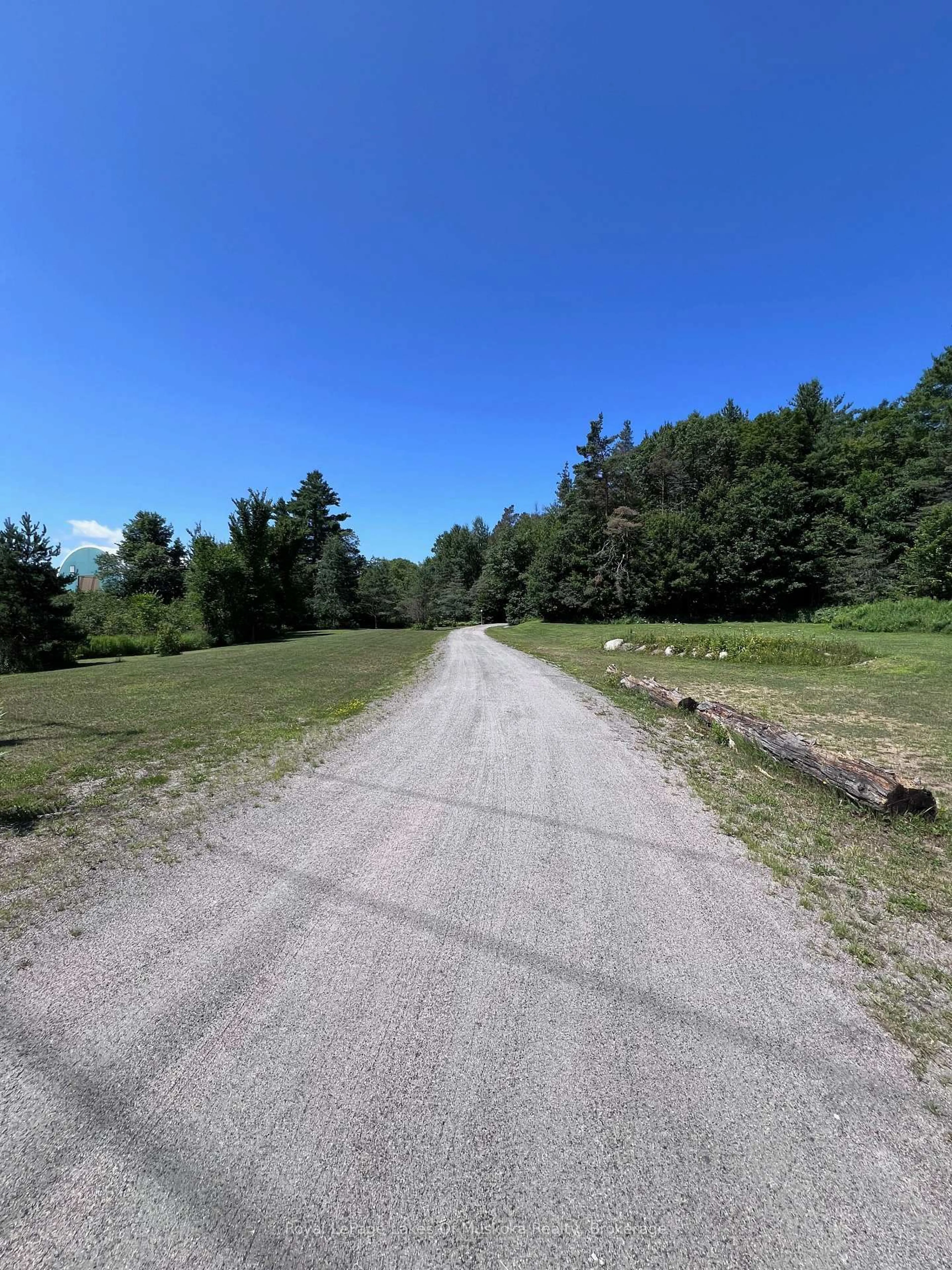 A pic from outside/outdoor area/front of a property/back of a property/a pic from drone, forest/trees view for 1096 Raymond Rd, Muskoka Lakes Ontario P0B 1M0