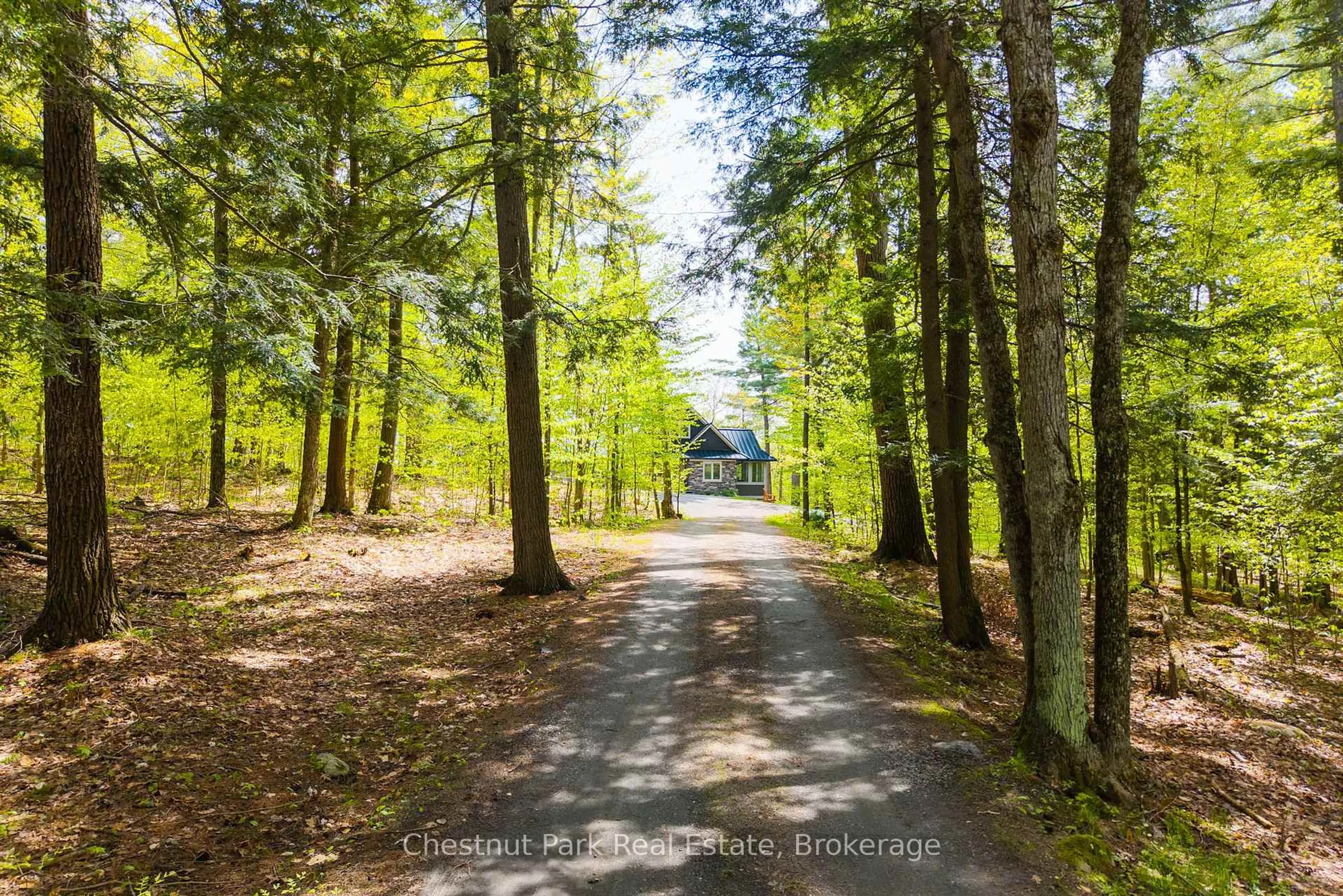 A pic from outside/outdoor area/front of a property/back of a property/a pic from drone, forest/trees view for 30 Stephen Rd, Muskoka Lakes Ontario P0B 1J0