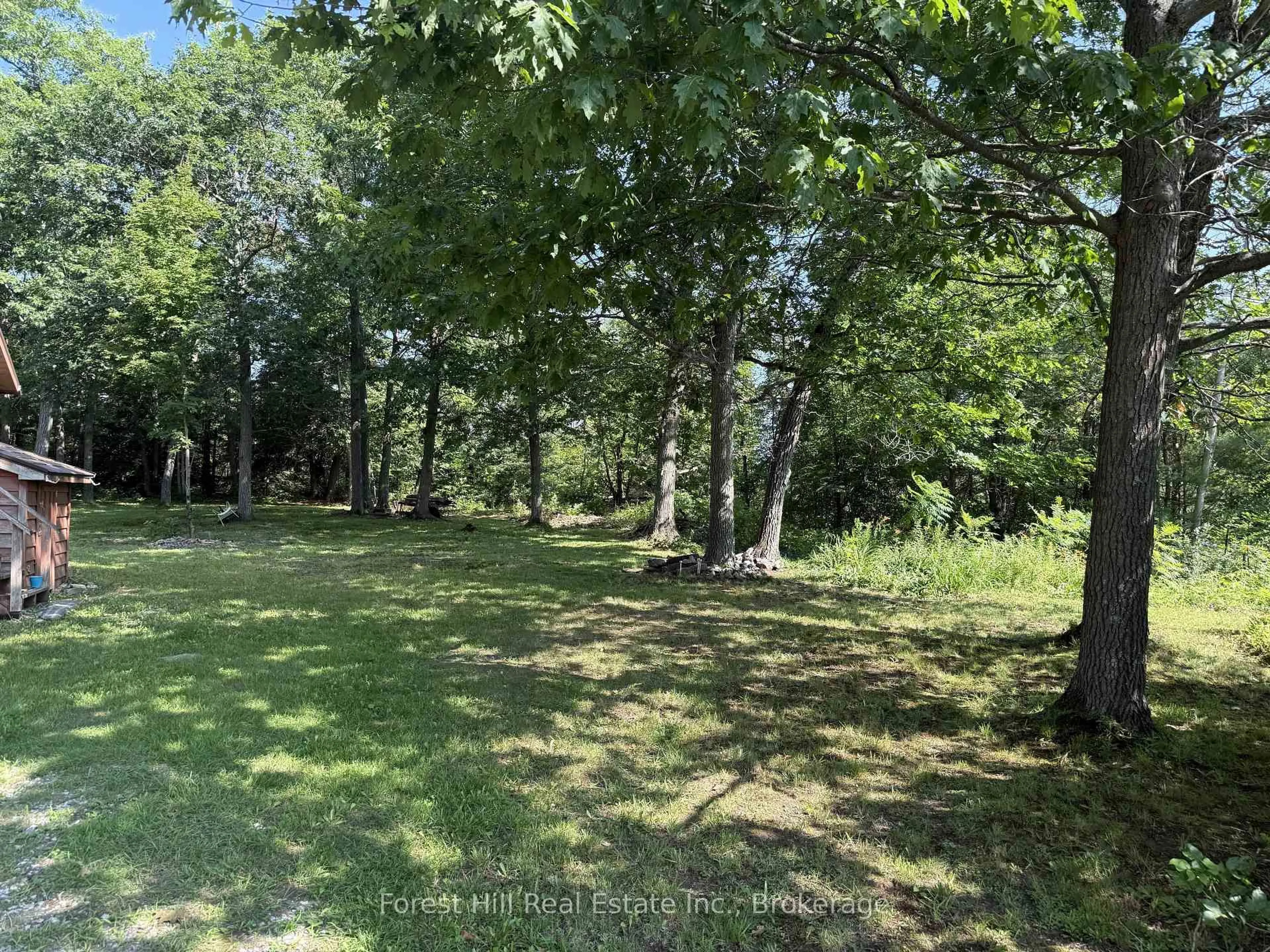 A pic from outside/outdoor area/front of a property/back of a property/a pic from drone, forest/trees view for 1033 Grey St, Muskoka Lakes Ontario P0C 1A0