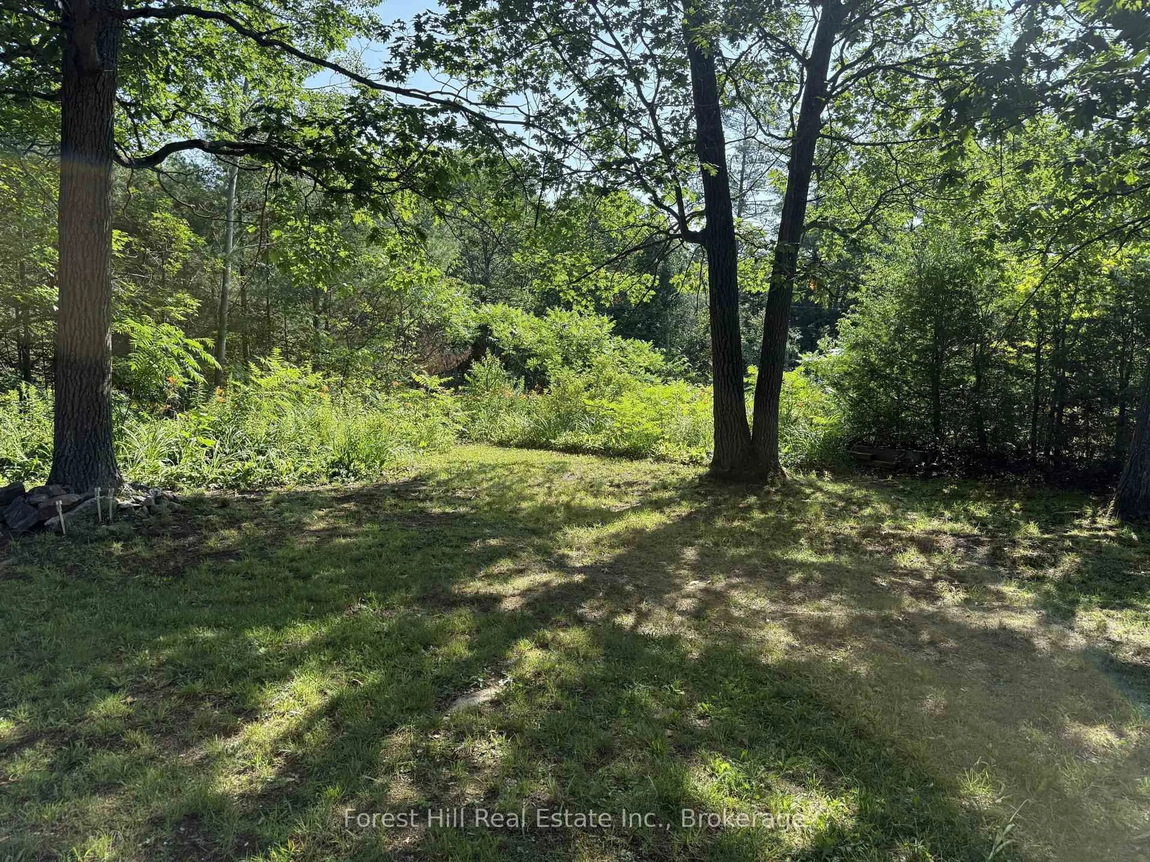 A pic from outside/outdoor area/front of a property/back of a property/a pic from drone, forest/trees view for 1033 Grey St, Muskoka Lakes Ontario P0C 1A0