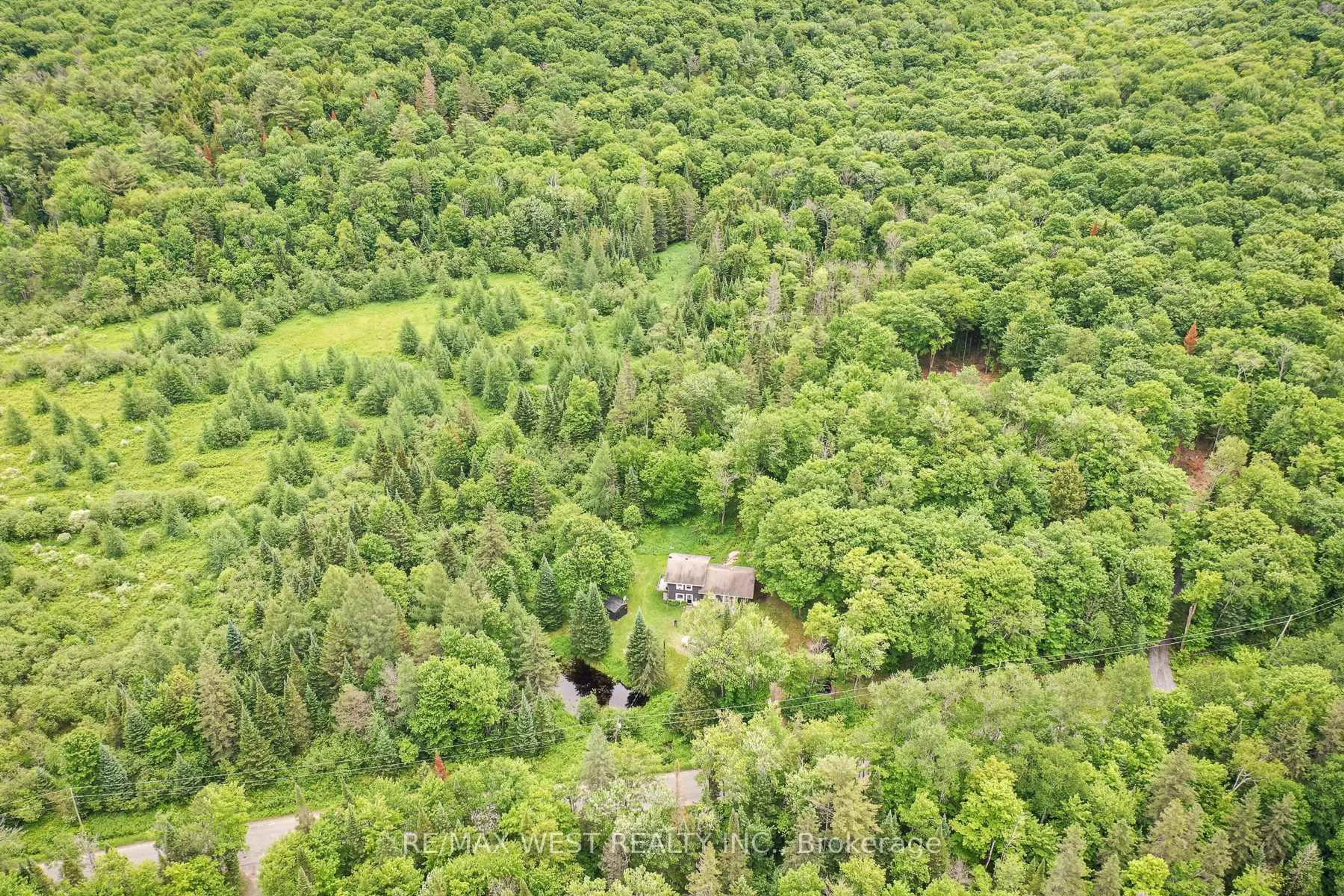 A pic from outside/outdoor area/front of a property/back of a property/a pic from drone, forest/trees view for 365 Clearwater Lake Rd, Huntsville Ontario P0B 1L0