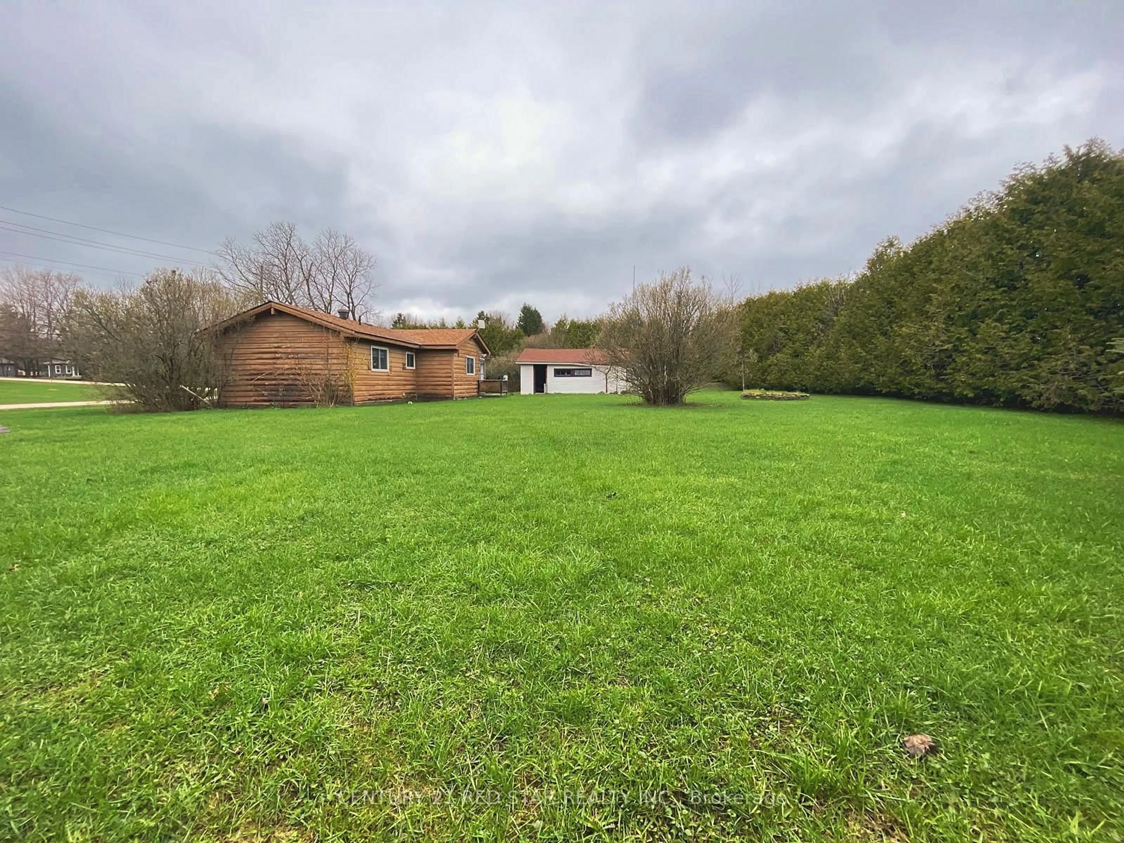 A pic from outside/outdoor area/front of a property/back of a property/a pic from drone, forest/trees view for 209 Evans St, Grey Highlands Ontario N0C 1E0