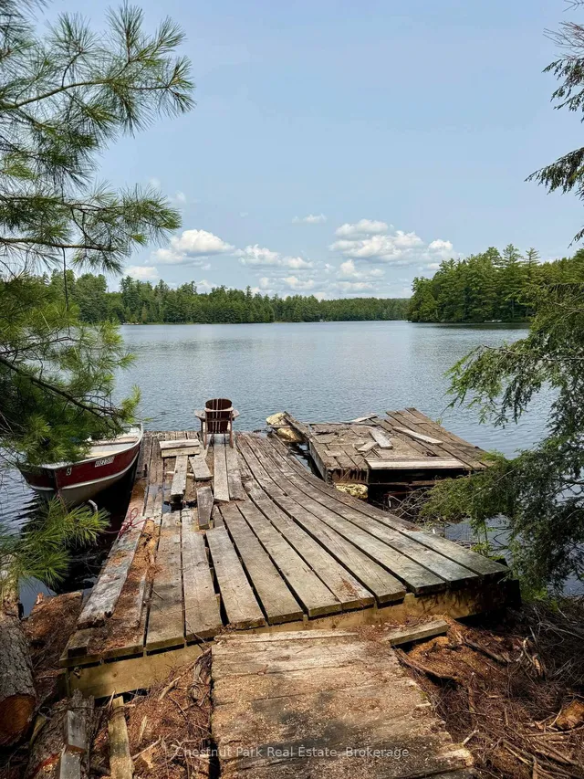 50 Cache Lake APL1322, South Algonquin 3