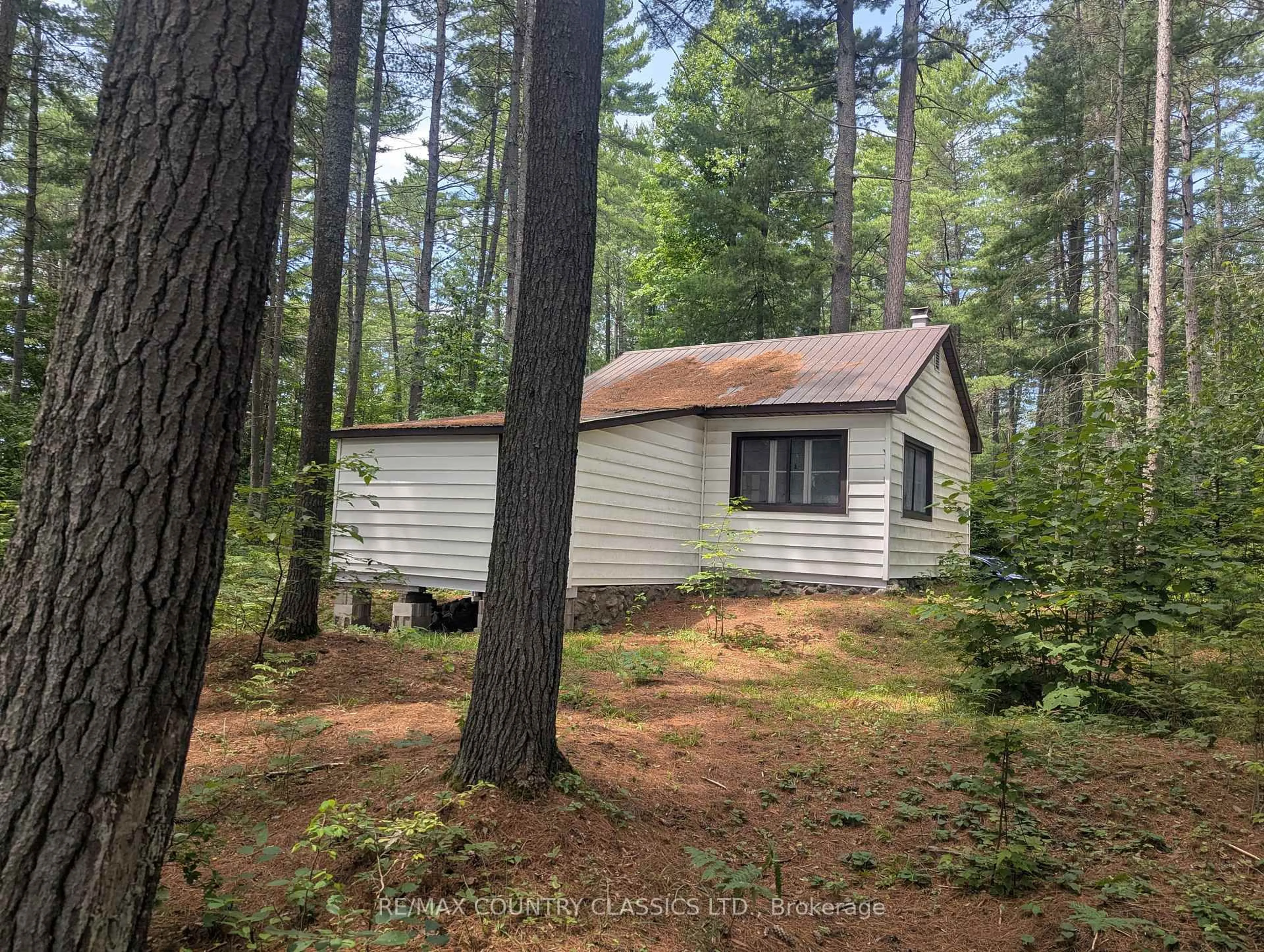 Shed for 22 Swan Lane, Barry's Bay Ontario K0J 1B0