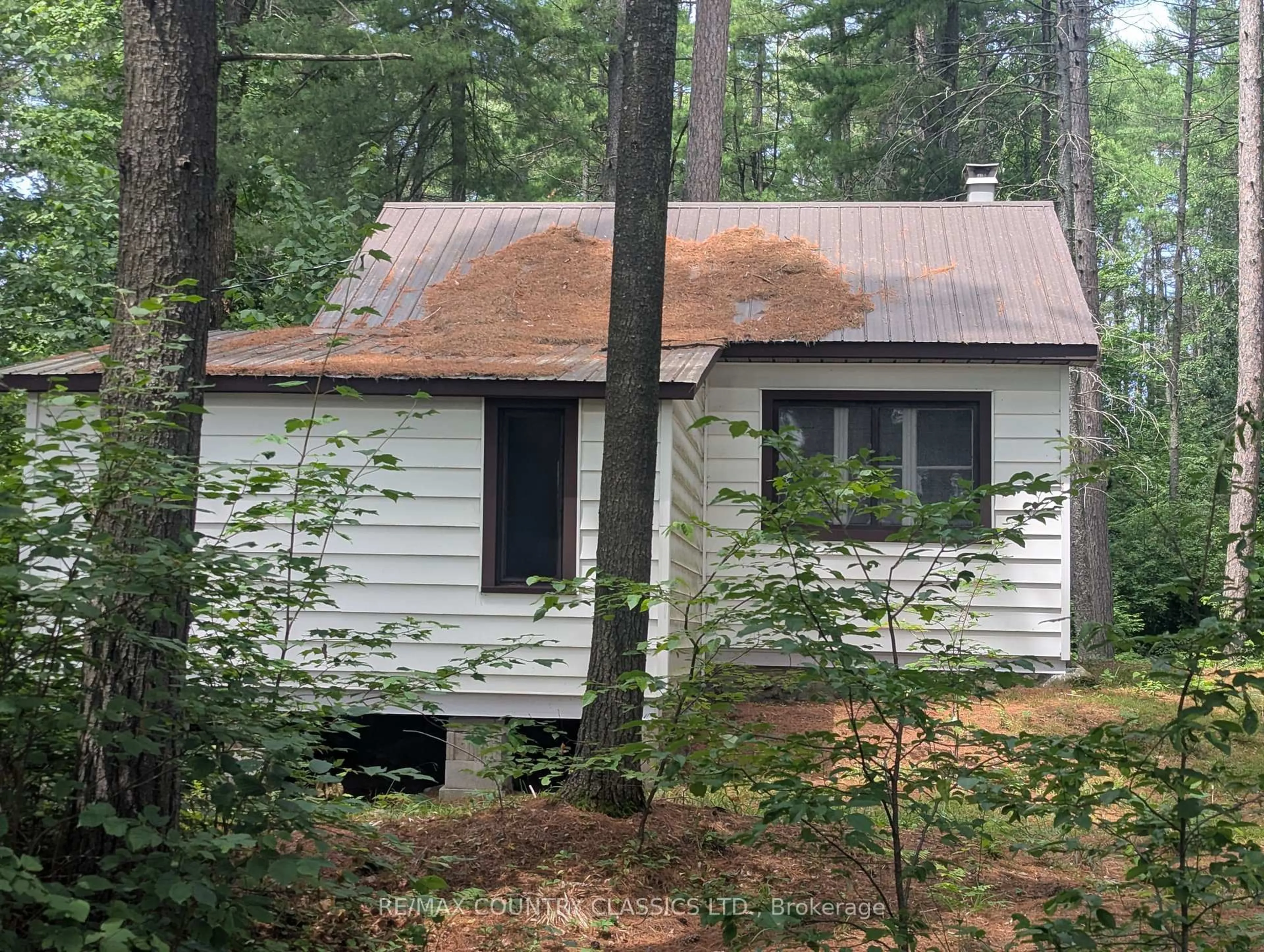 Shed for 22 Swan Lane, Barry's Bay Ontario K0J 1B0
