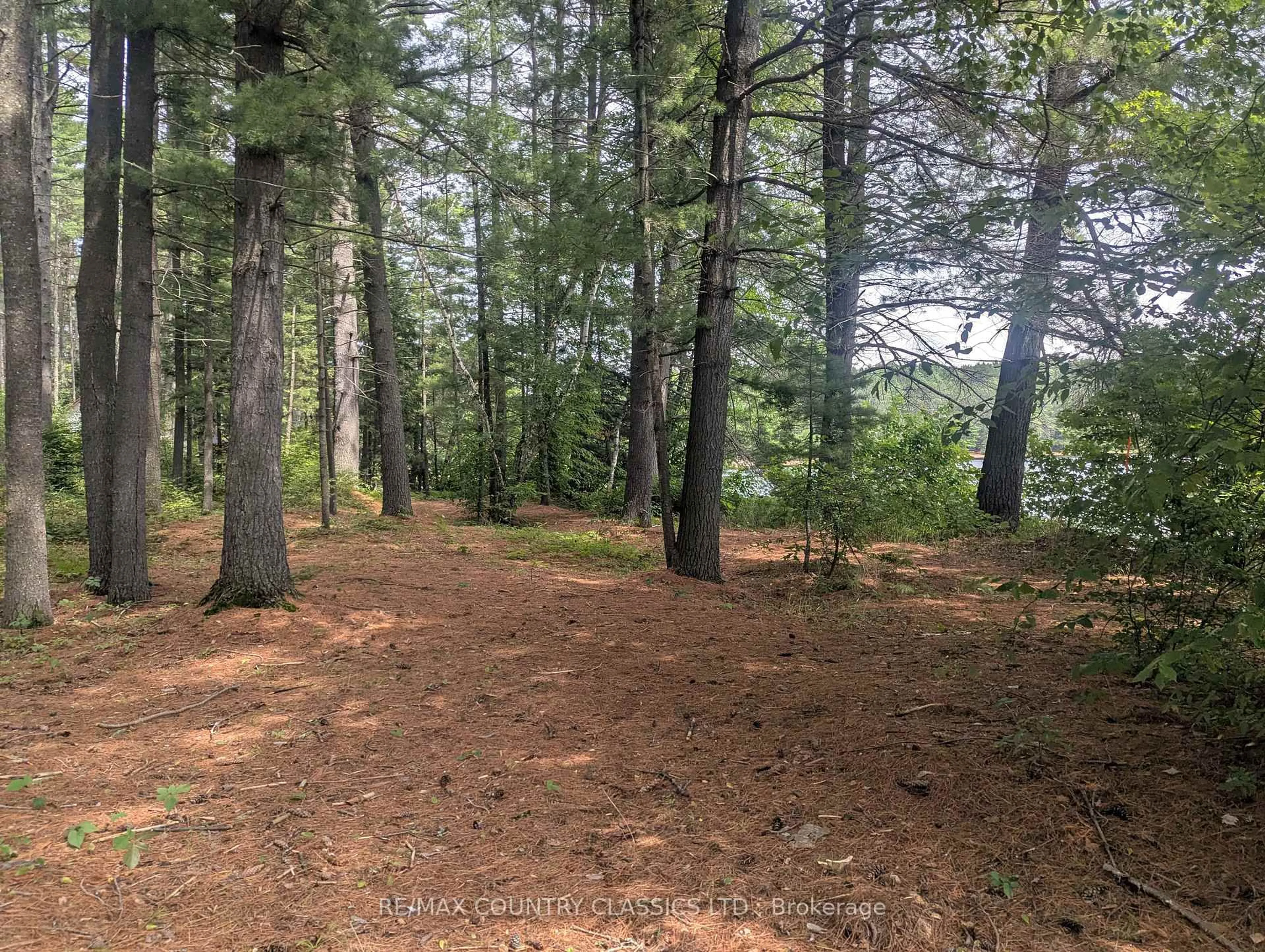 Unknown for 22 Swan Lane, Barry's Bay Ontario K0J 1B0