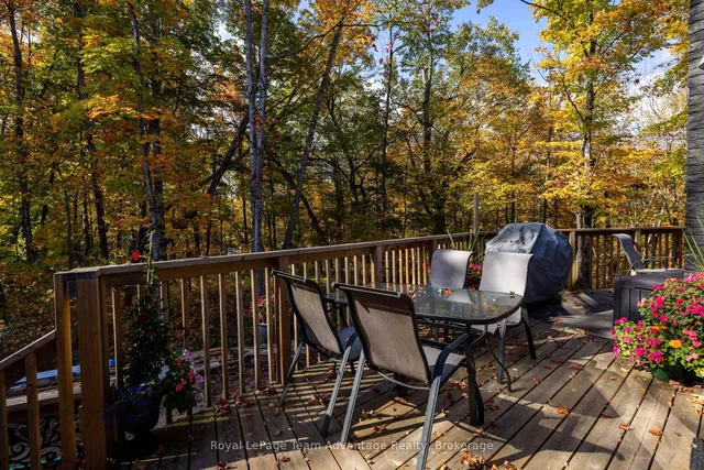 17 Hagerman Crt, Seguin 3