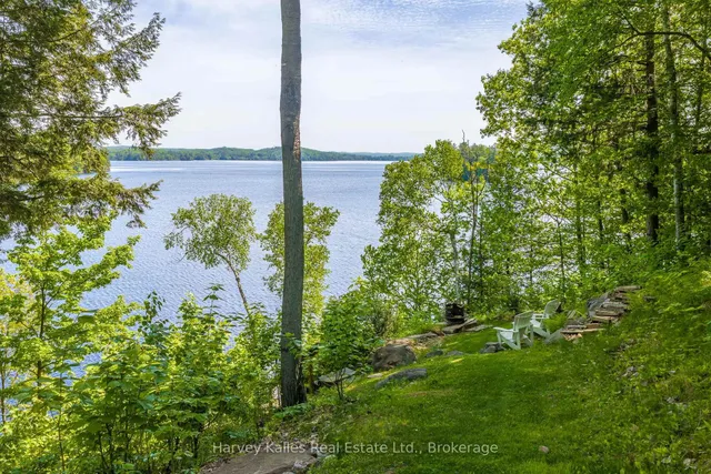 161 Town Line Rd, Huntsville 5
