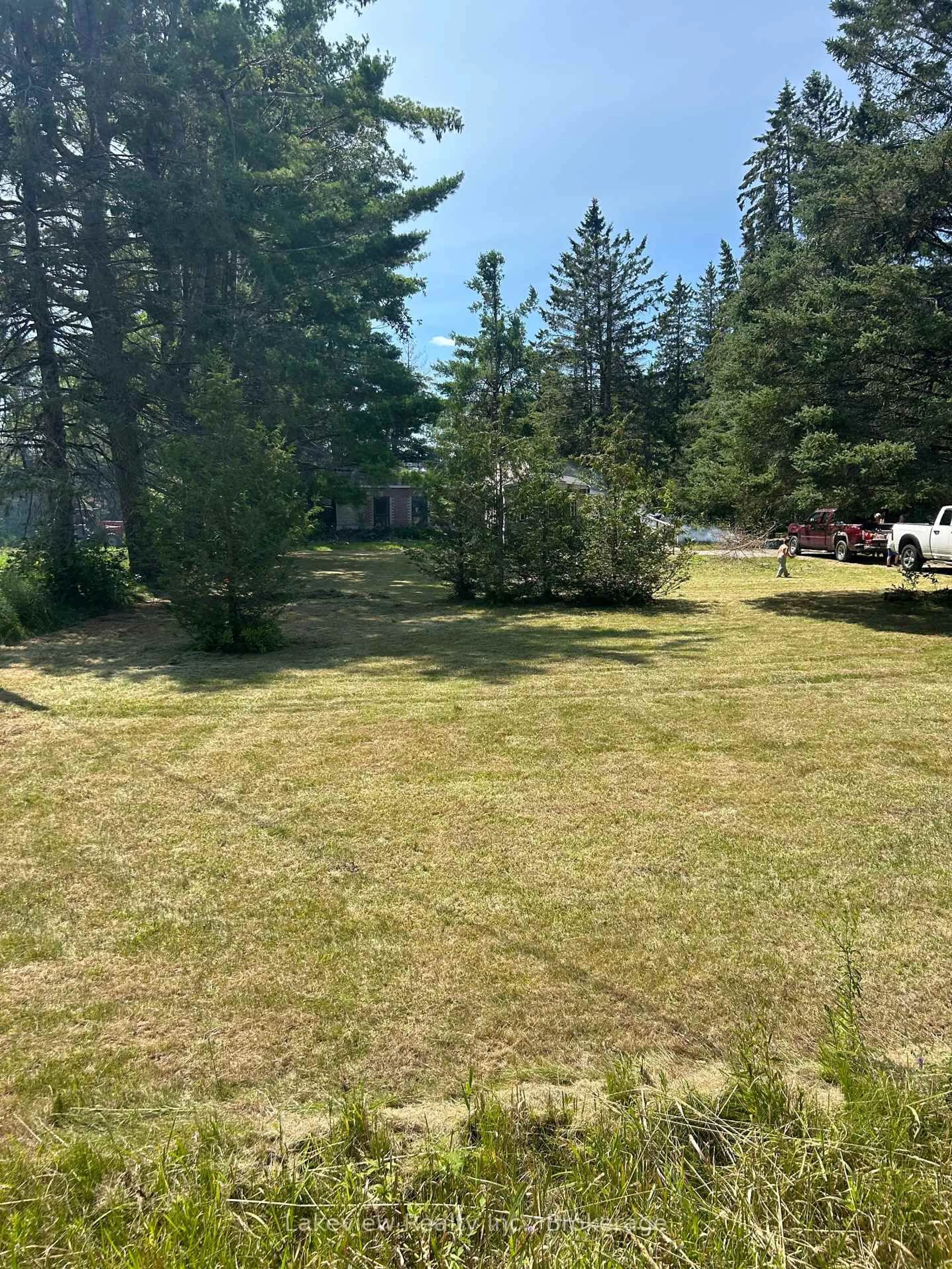 A pic from outside/outdoor area/front of a property/back of a property/a pic from drone, forest/trees view for 315 Burnt River Rd, Kawartha Lakes Ontario K0M 1C0