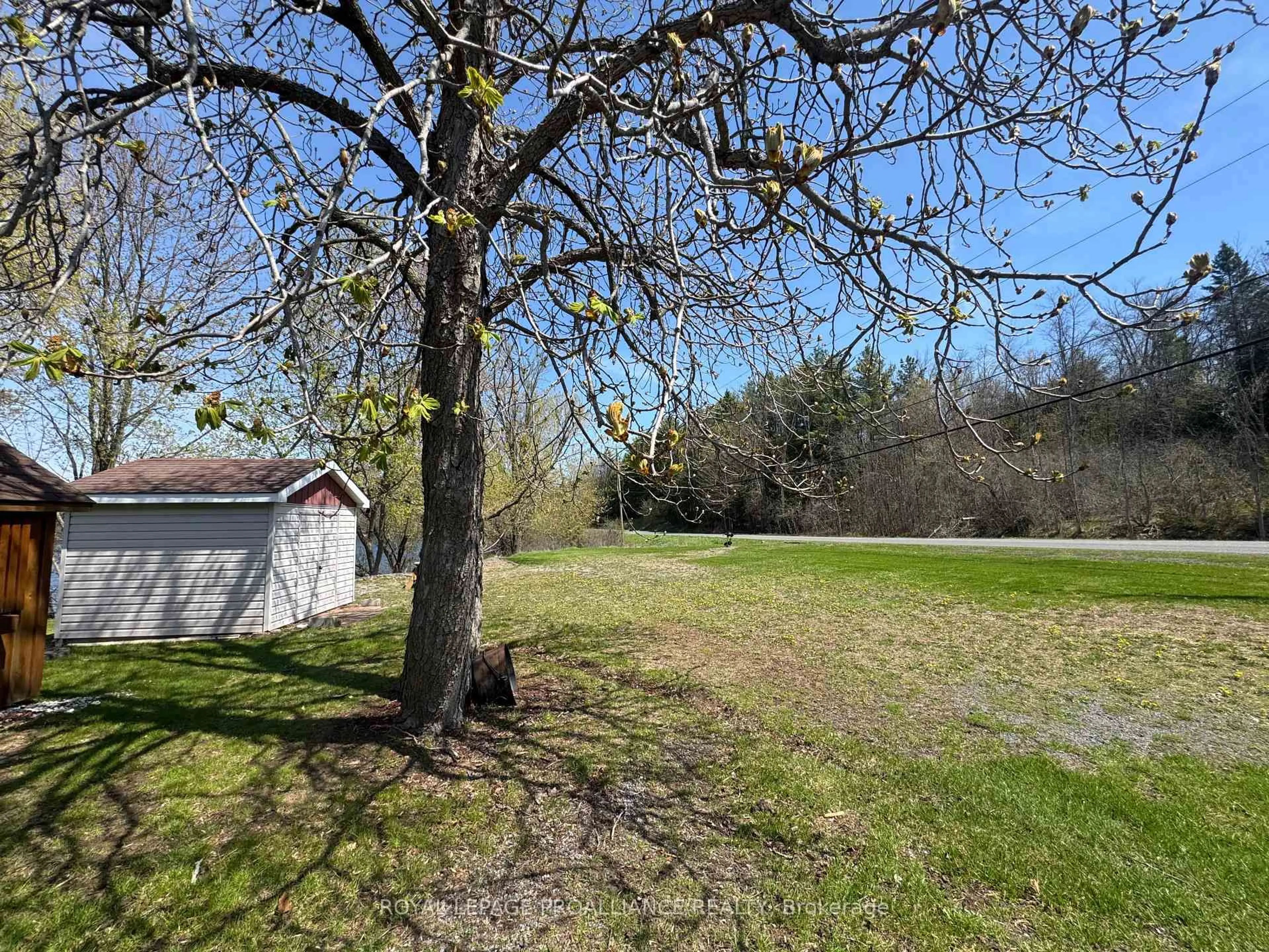 A pic from outside/outdoor area/front of a property/back of a property/a pic from drone, forest/trees view for 81 Scuttlehole Rd, Belleville Ontario K0K 2V0