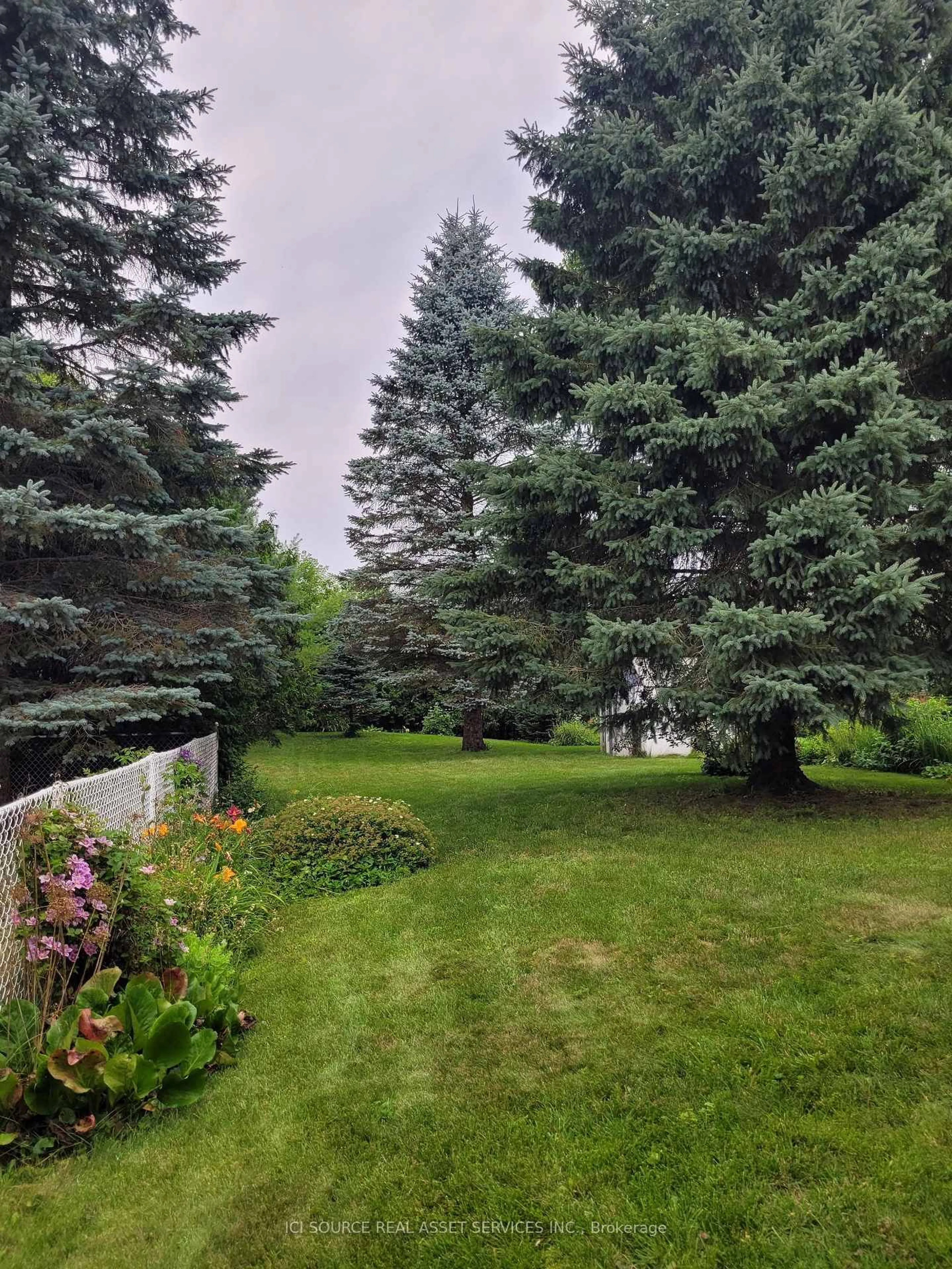 A pic from outside/outdoor area/front of a property/back of a property/a pic from drone, forest/trees view for 488 George St, West Grey Ontario N0G 1R0