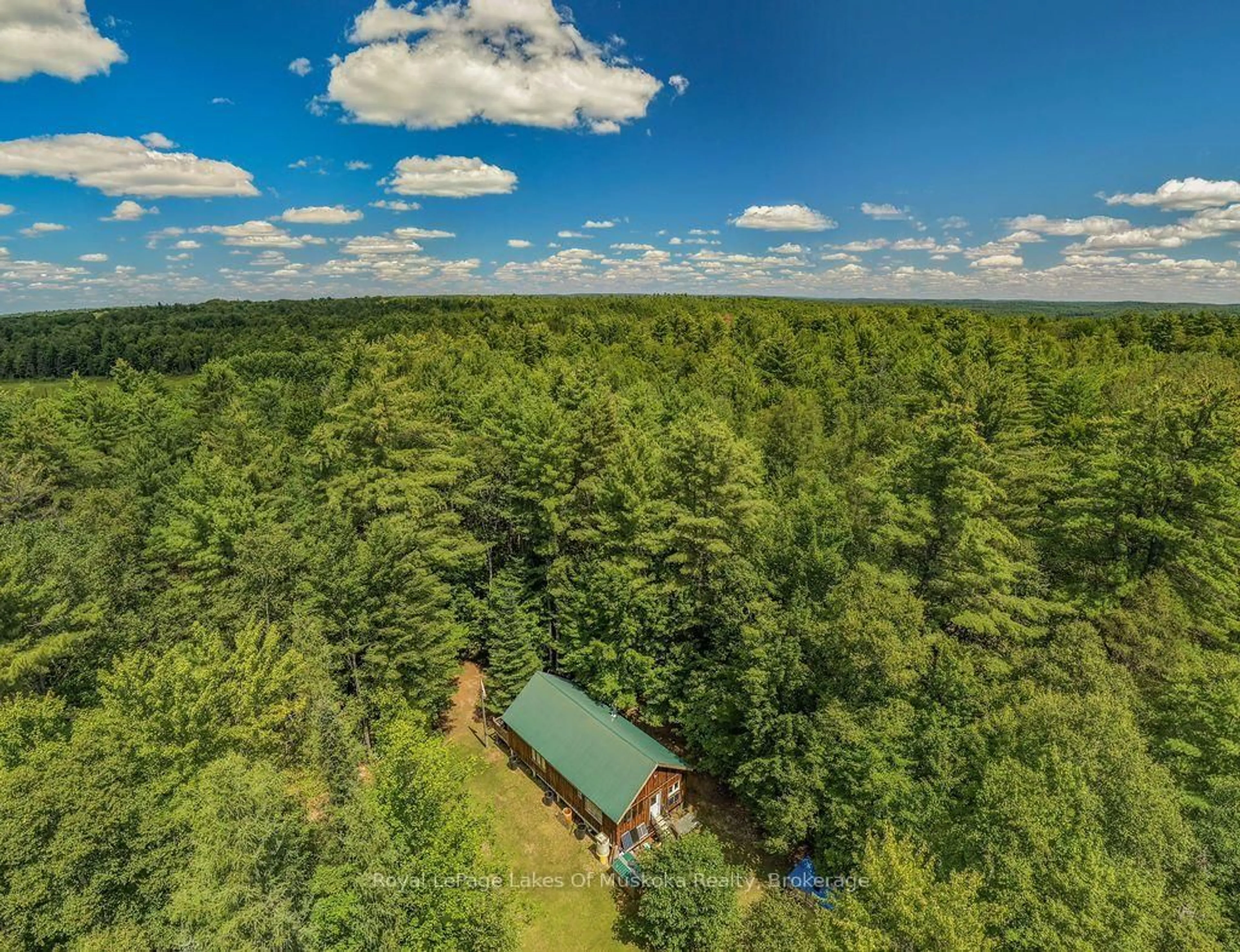 A pic from outside/outdoor area/front of a property/back of a property/a pic from drone, forest/trees view for 1101 Langford Rd, Lake of Bays Ontario P0B 1A0