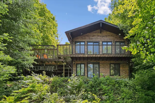 3359 Maple Ridge Rd, Algonquin Highlands 2