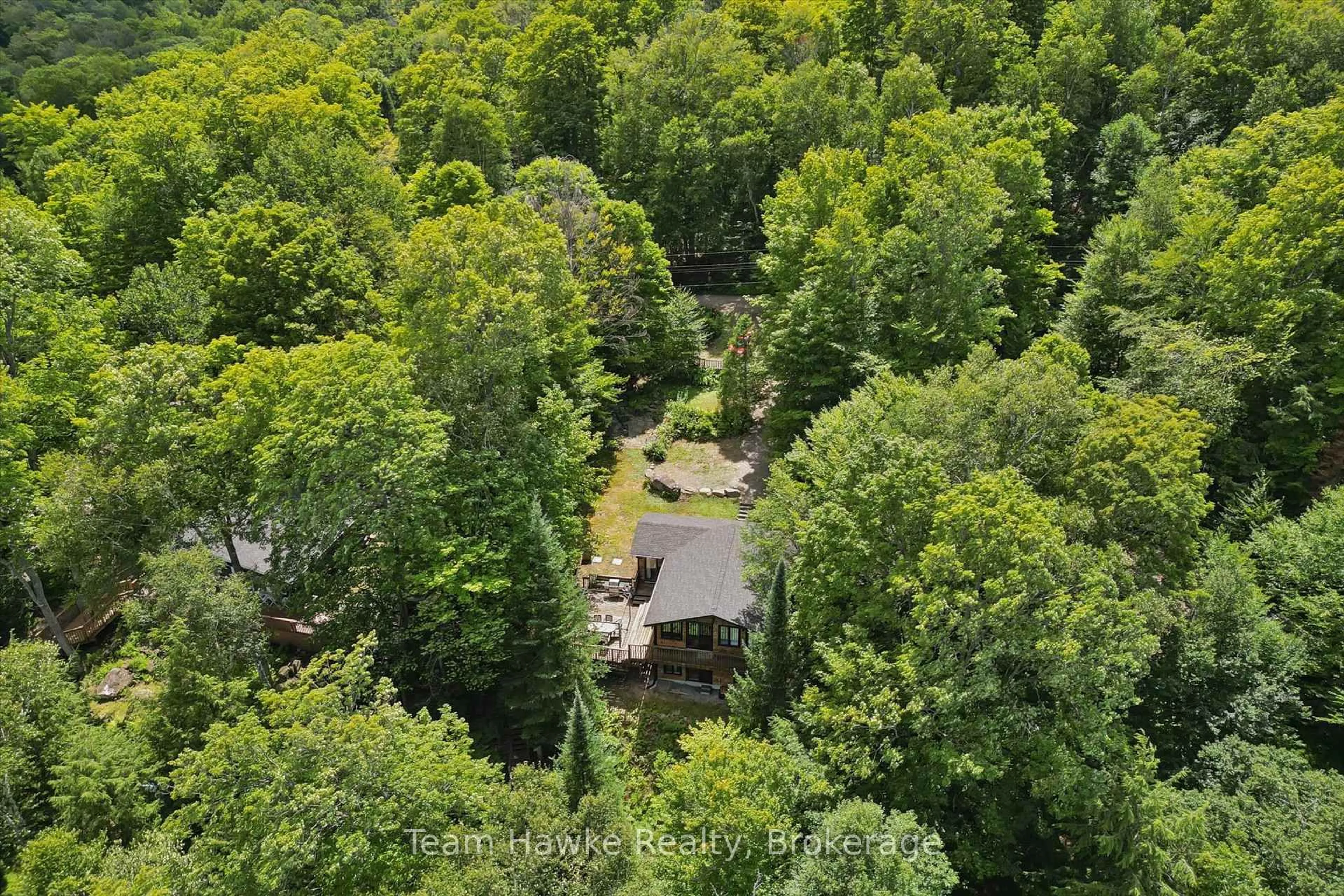 A pic from outside/outdoor area/front of a property/back of a property/a pic from drone, forest/trees view for 3359 Maple Ridge Rd, Algonquin Highlands Ontario P0A 1E0