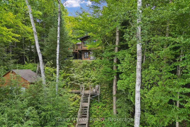 3359 Maple Ridge Rd, Algonquin Highlands 5
