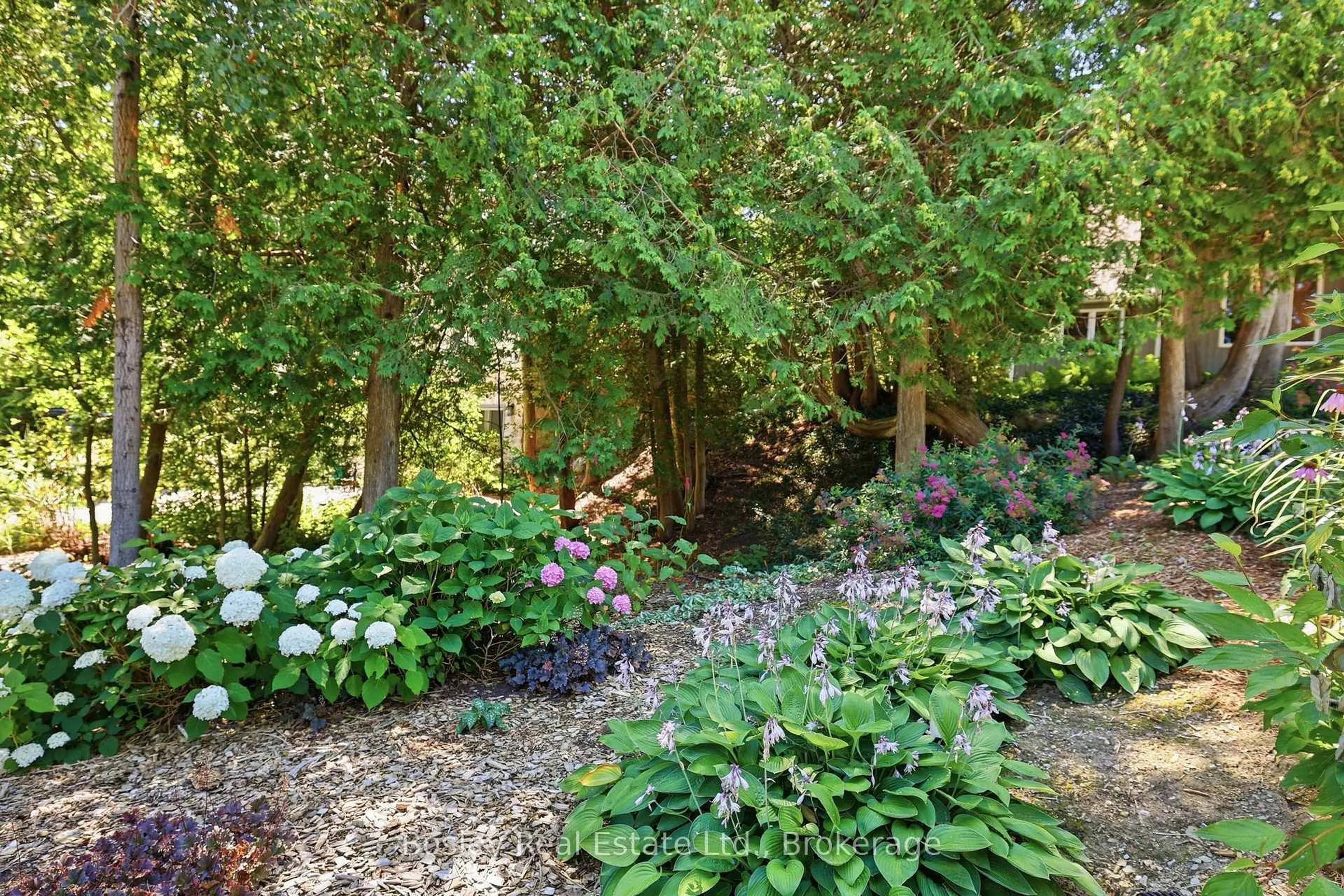 Patio, forest/trees view for 164 Bay St, Blue Mountains Ontario N0H 2P0