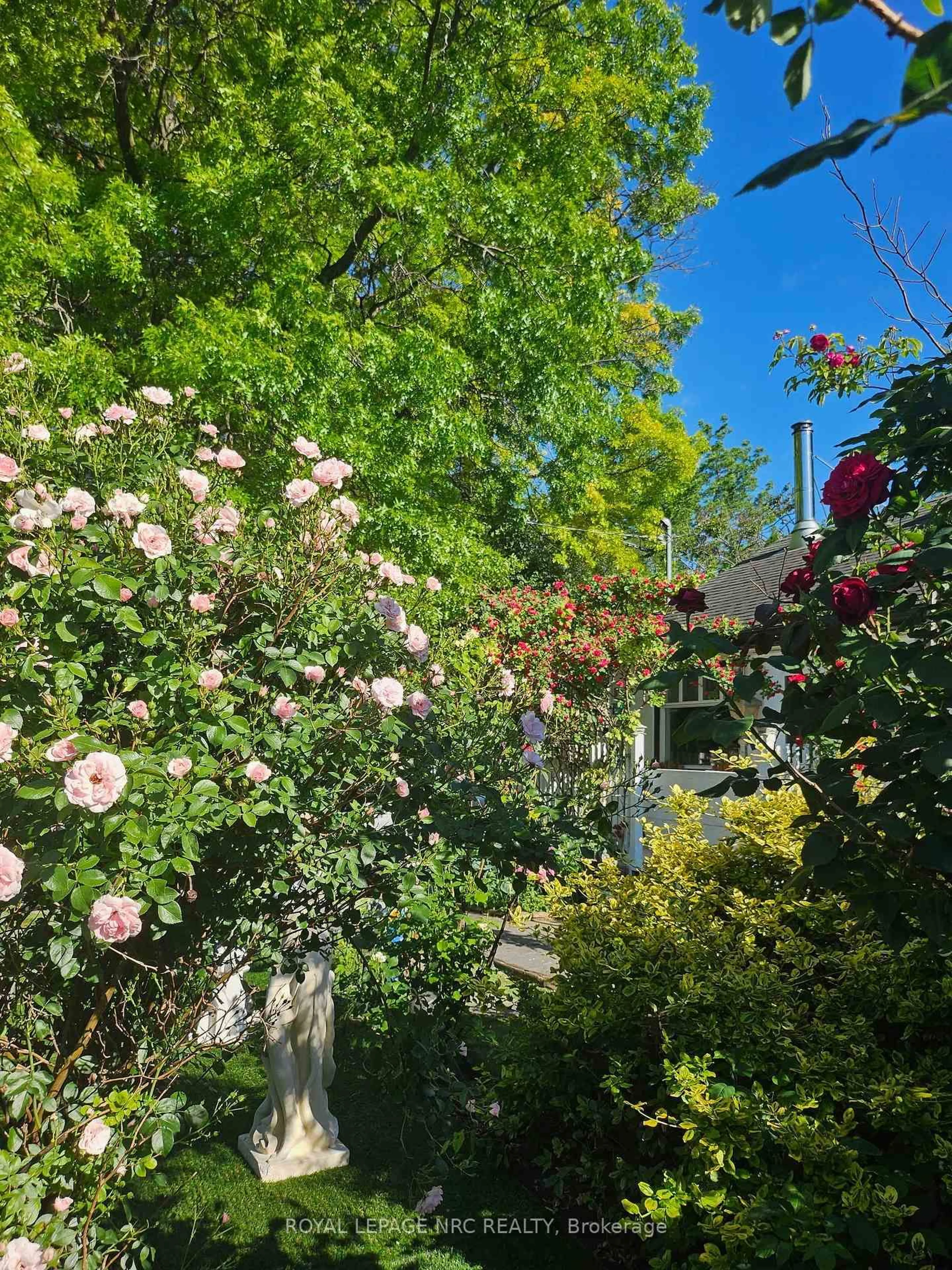 A pic from outside/outdoor area/front of a property/back of a property/a pic from drone, street for 7 Vera St, St. Catharines Ontario L2S 1C3