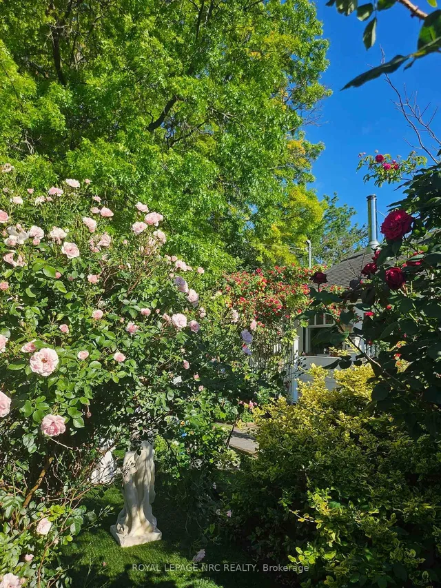 7 Vera St, St. Catharines 2
