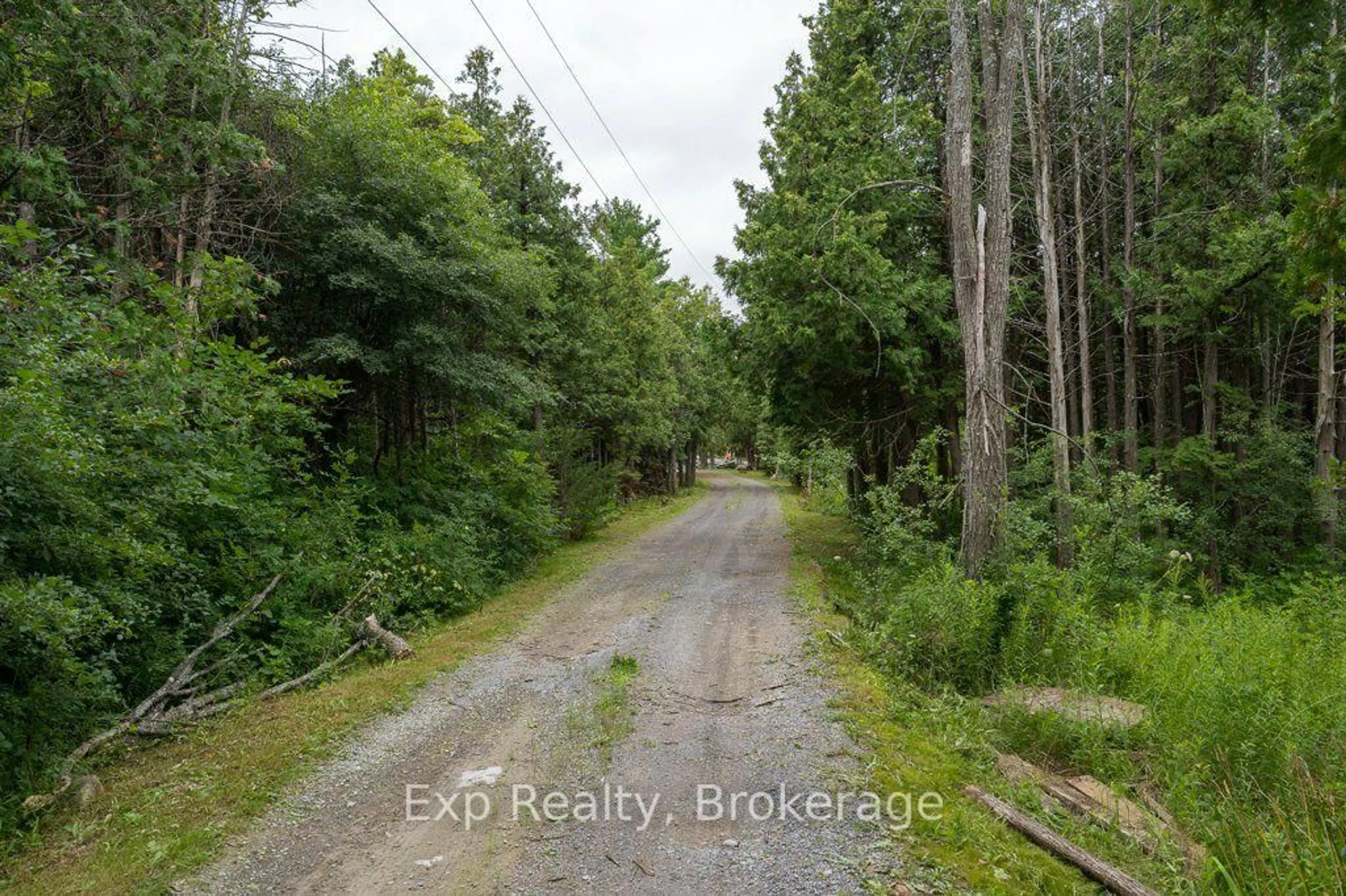 A pic from outside/outdoor area/front of a property/back of a property/a pic from drone, forest/trees view for 2822 Shannon Rd, Shannonville Ontario K0K 3A0