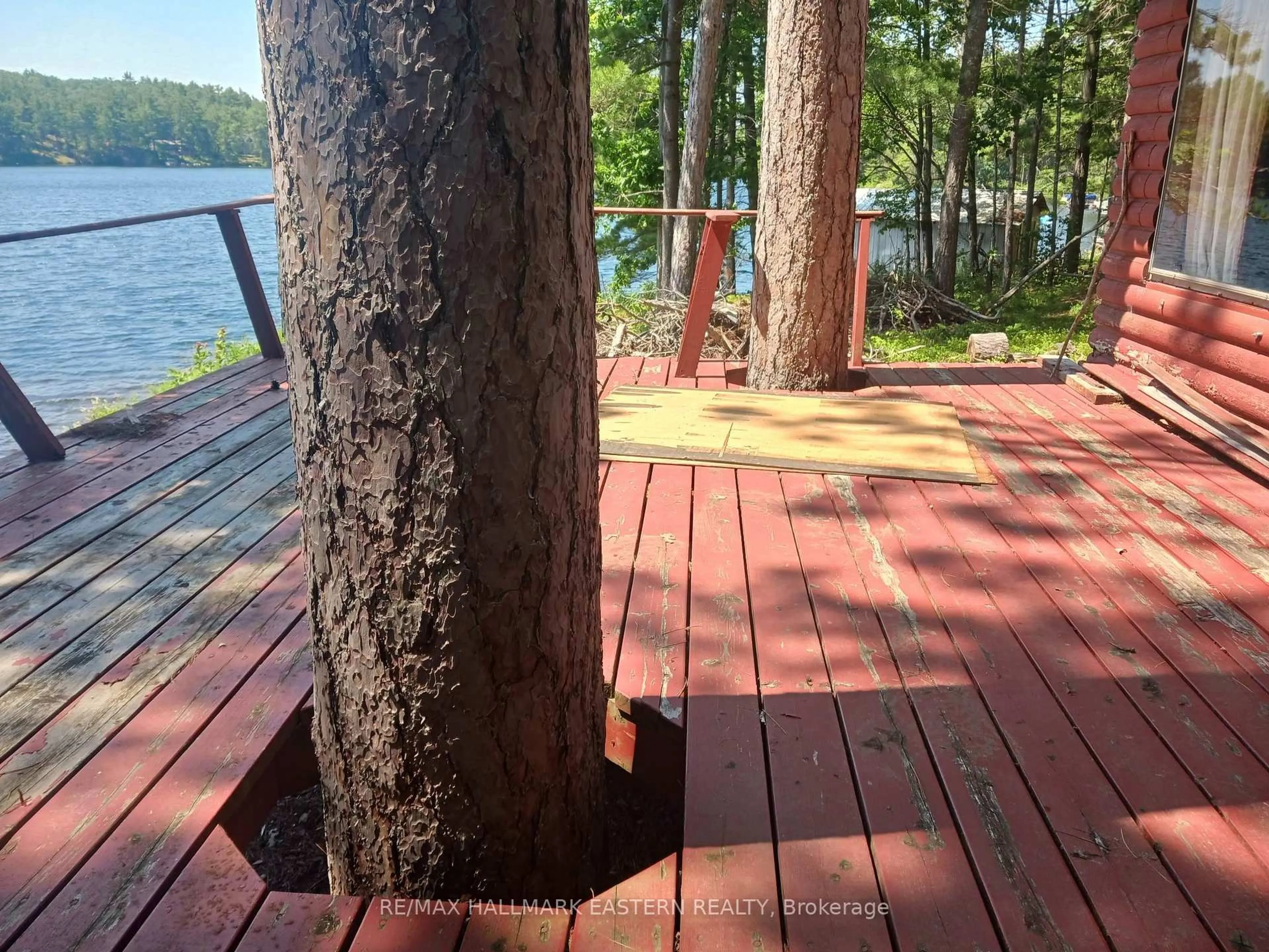 Patio, forest/trees view for 17 Fire Route 92A Kasshabog Lake, Havelock-Belmont-Methuen Ontario K0L 2H0