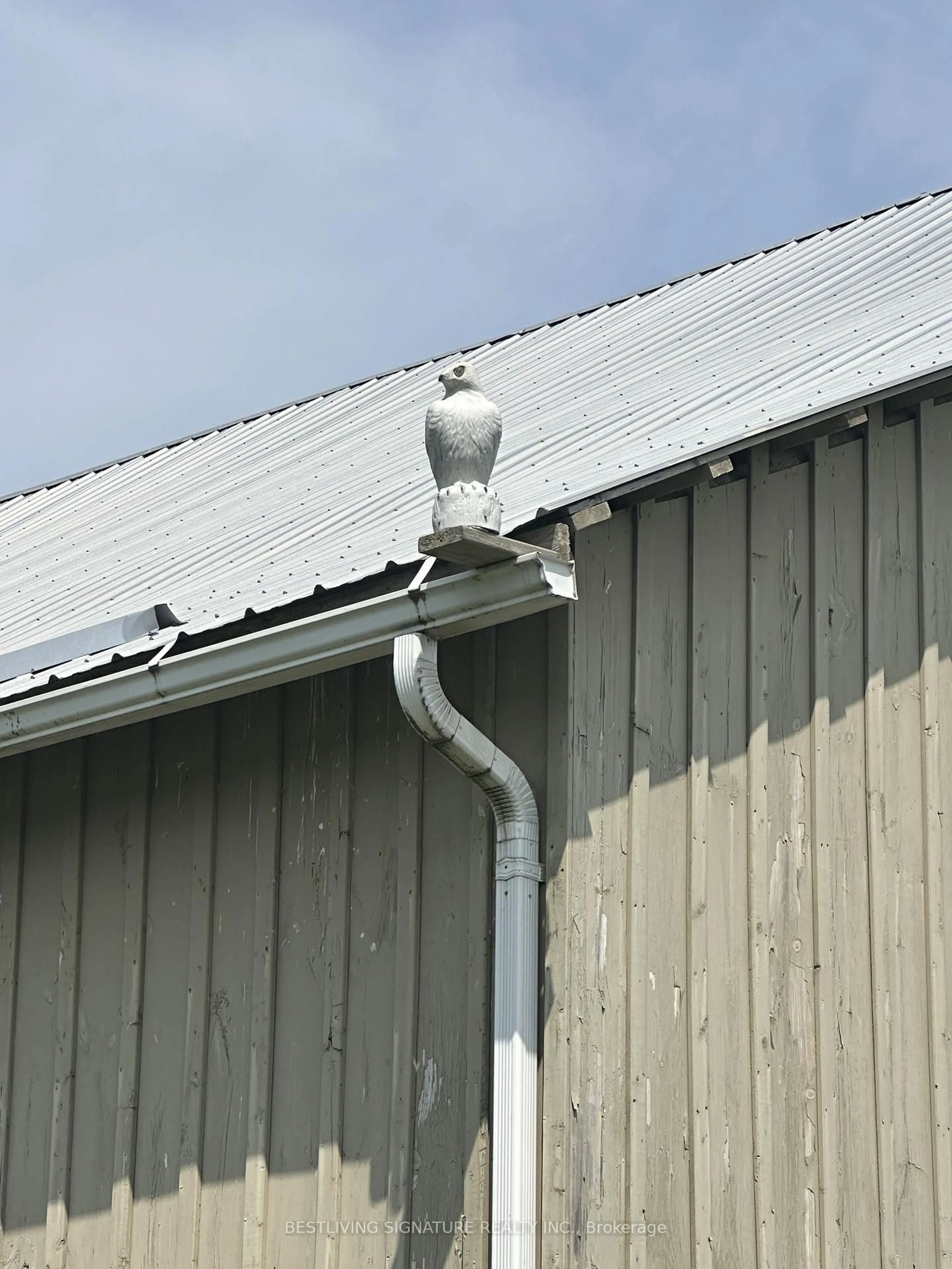 Home with vinyl exterior material, building for 3752 Elm Tree Rd, Kawartha Lakes Ontario K0M 2B0