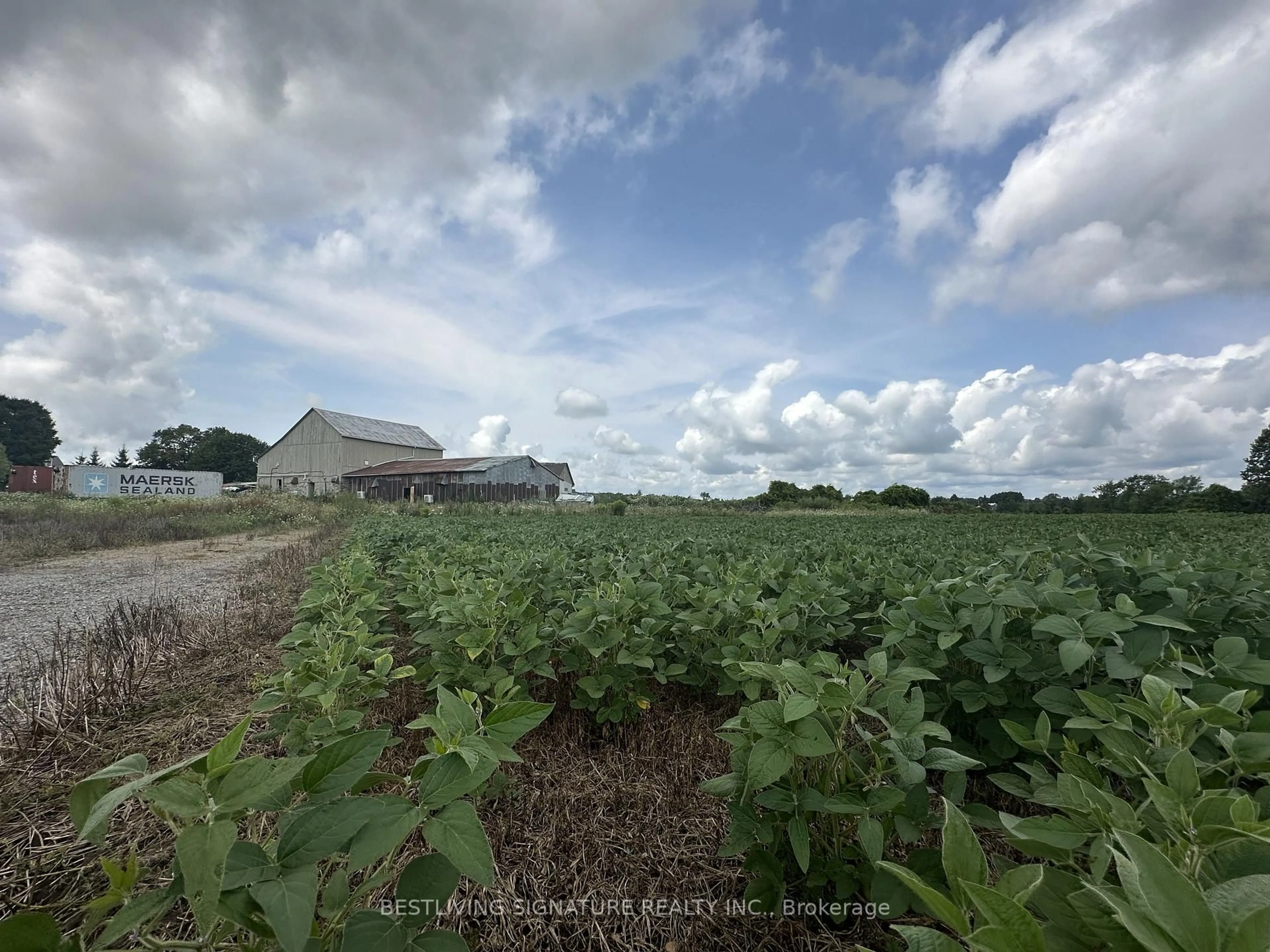 Unknown for 3752 Elm Tree Rd, Kawartha Lakes Ontario K0M 2B0