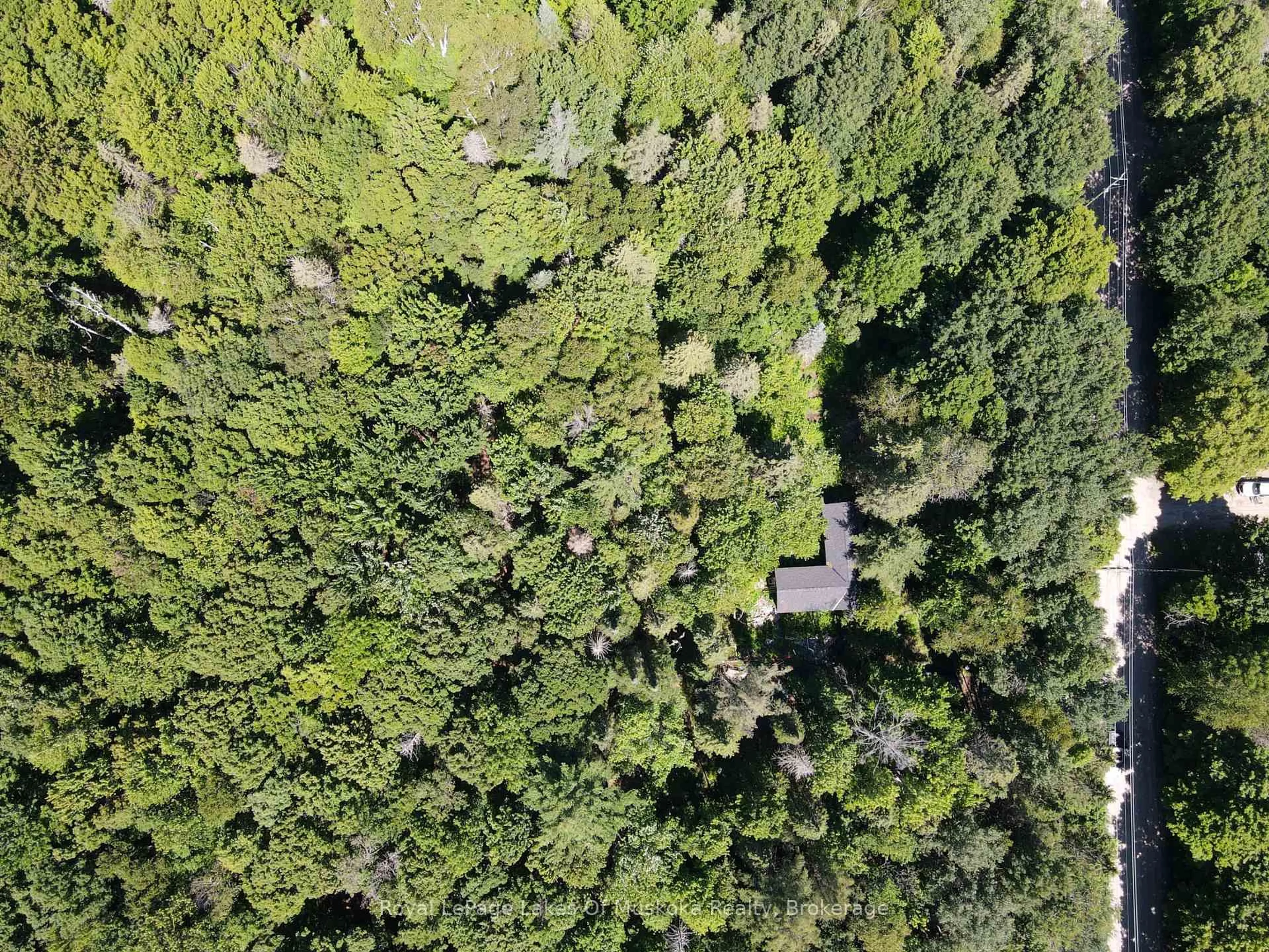 A pic from outside/outdoor area/front of a property/back of a property/a pic from drone, forest/trees view for 182 Old School House Rd, Huntsville Ontario P1H 2J4