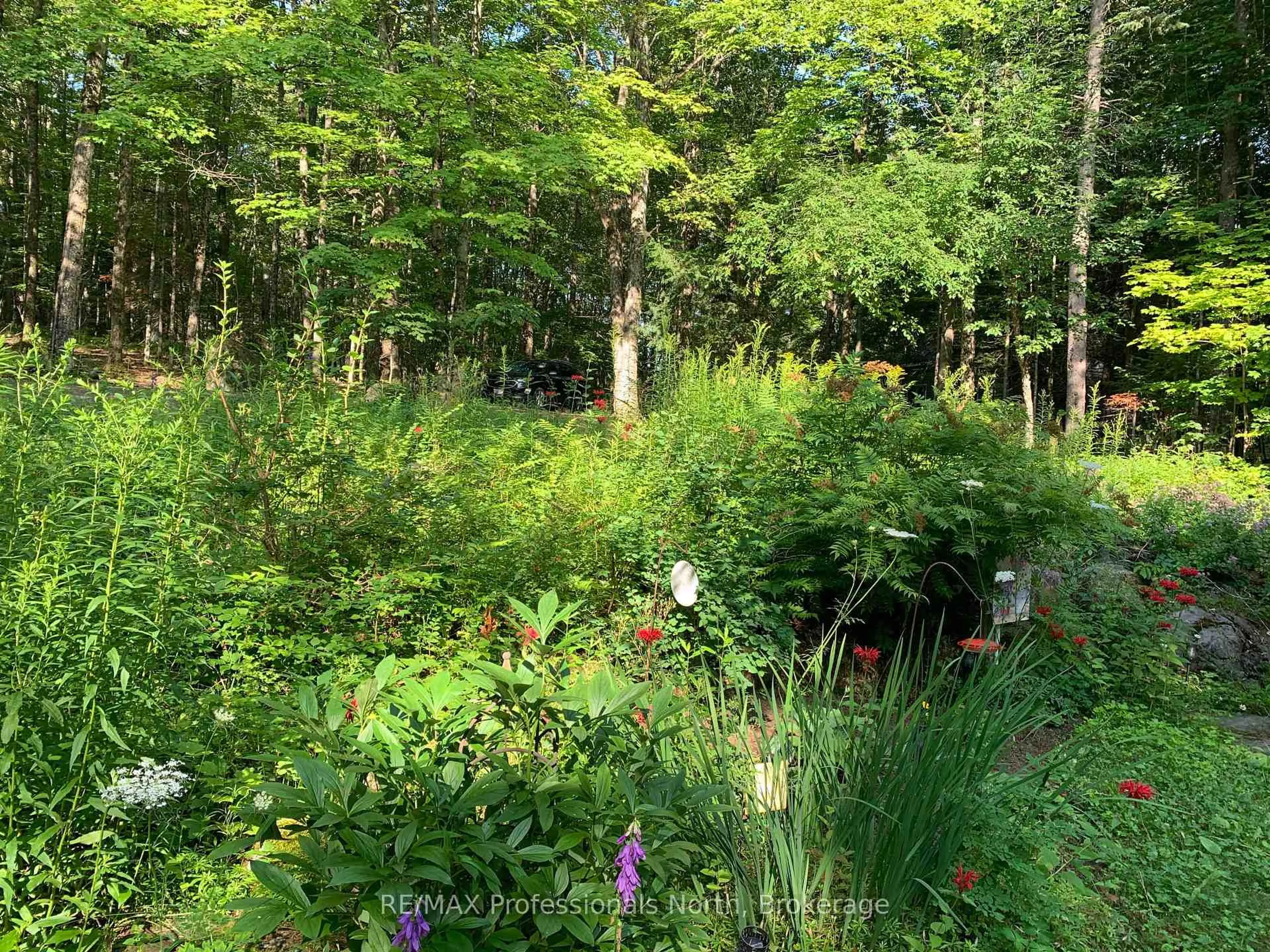 A pic from outside/outdoor area/front of a property/back of a property/a pic from drone, forest/trees view for 1048 Elk Dr, Dysart et al Ontario K0M 1S0