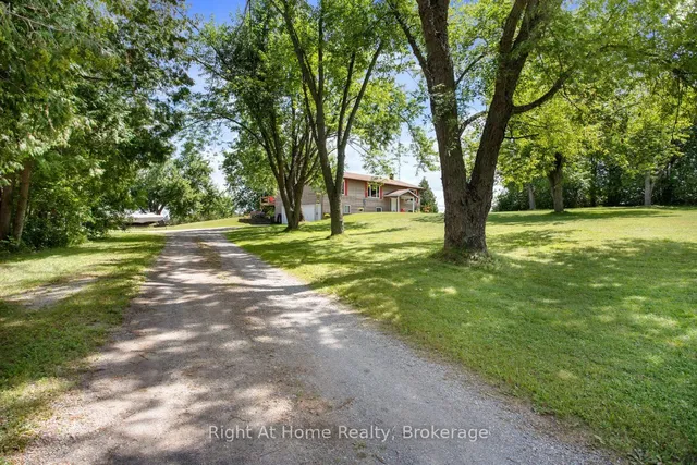 34 Birch Point Rd, Kawartha Lakes 2