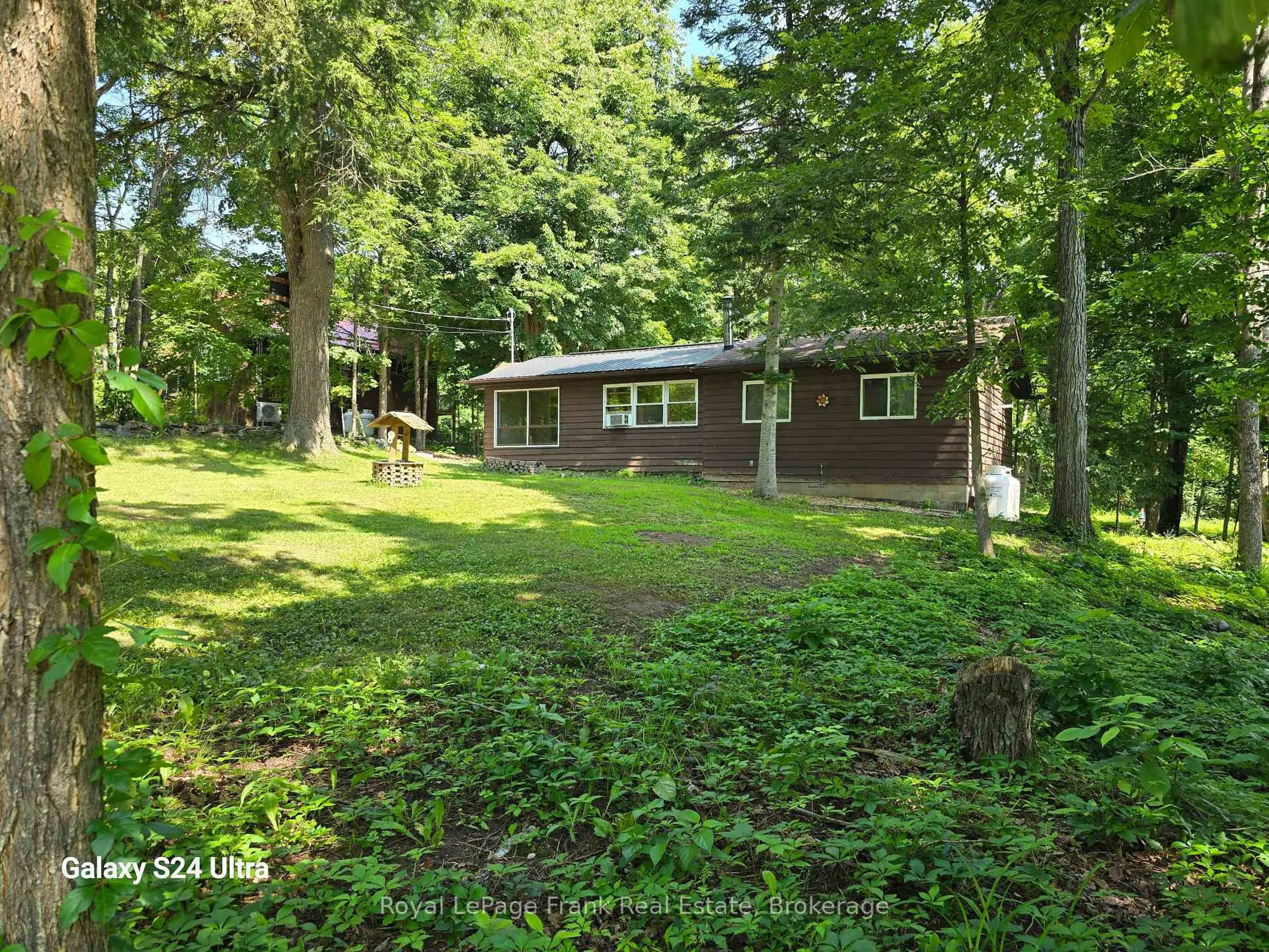 A pic from outside/outdoor area/front of a property/back of a property/a pic from drone, forest/trees view for 179 Northern Ave, Trent Lakes Ontario K0M 1A0