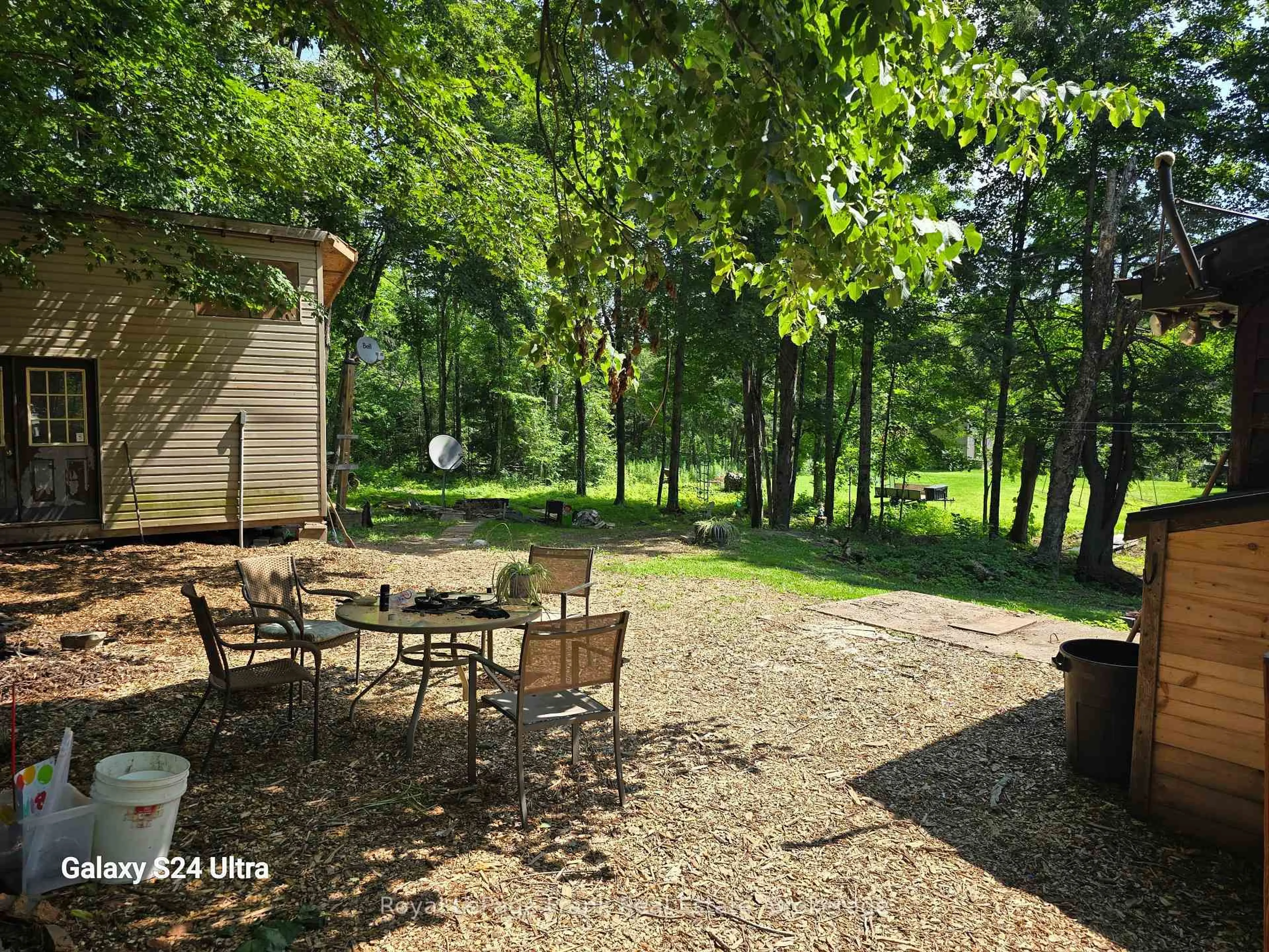 Patio, forest/trees view for 179 Northern Ave, Trent Lakes Ontario K0M 1A0