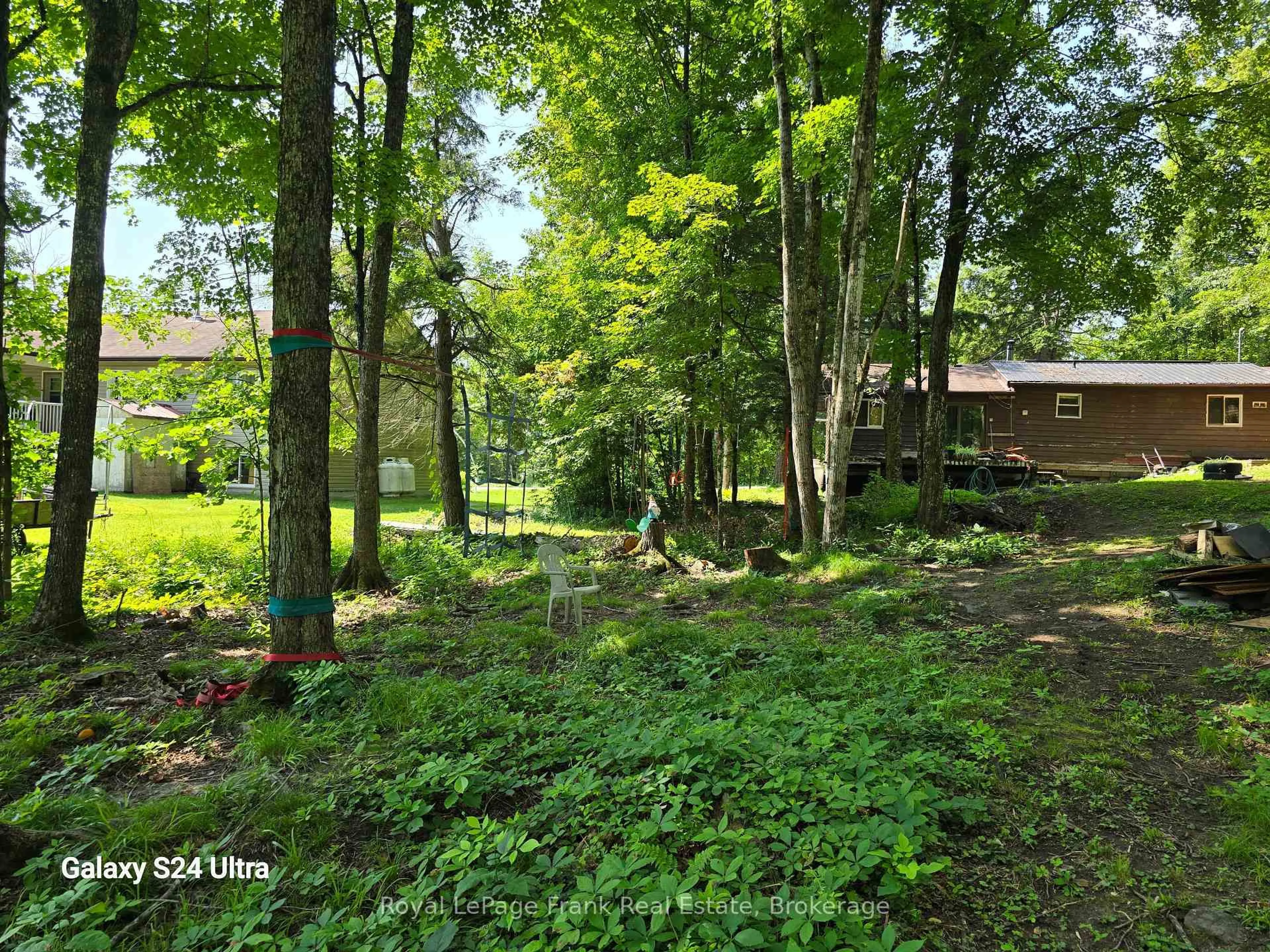 A pic from outside/outdoor area/front of a property/back of a property/a pic from drone, forest/trees view for 179 Northern Ave, Trent Lakes Ontario K0M 1A0