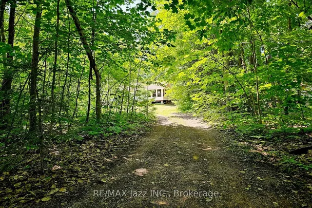 2006 South Beaver Lake Lane, Minden Hills 3