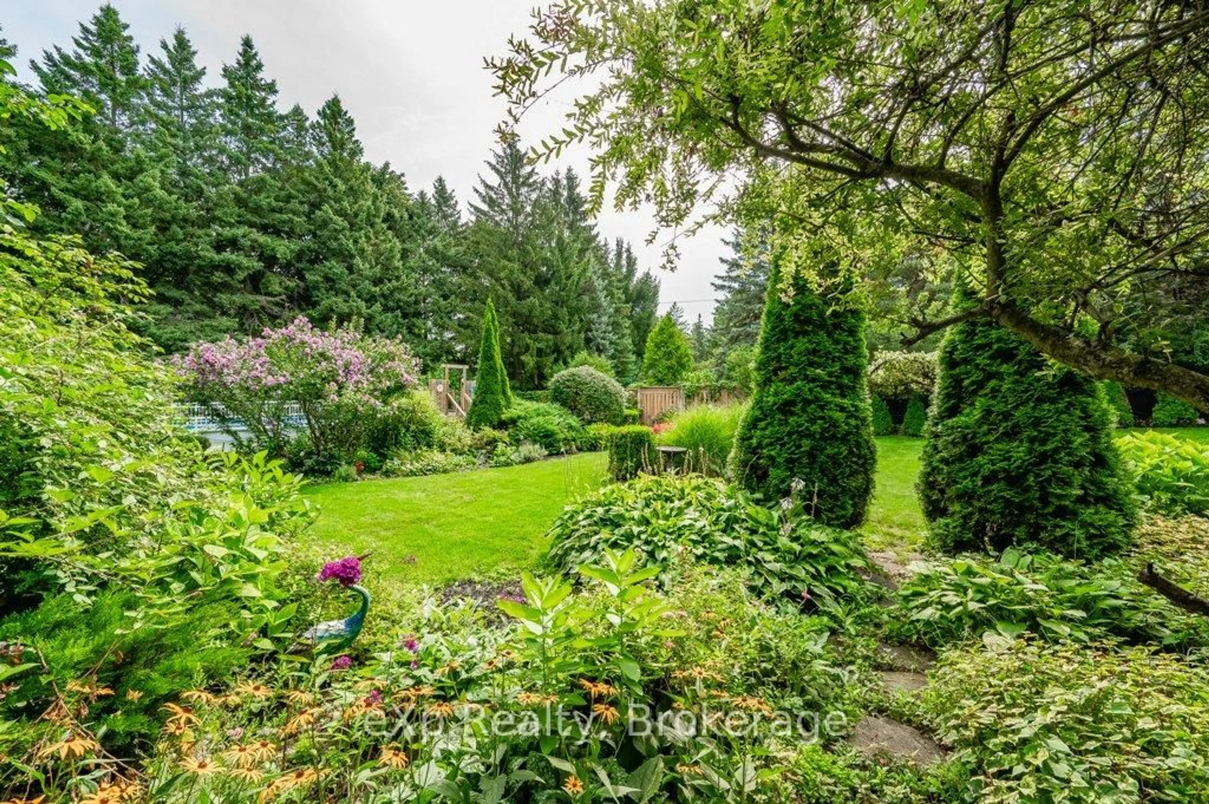 A pic from outside/outdoor area/front of a property/back of a property/a pic from drone, forest/trees view for 8 Malvern Cres, Guelph Ontario N1L 1G8