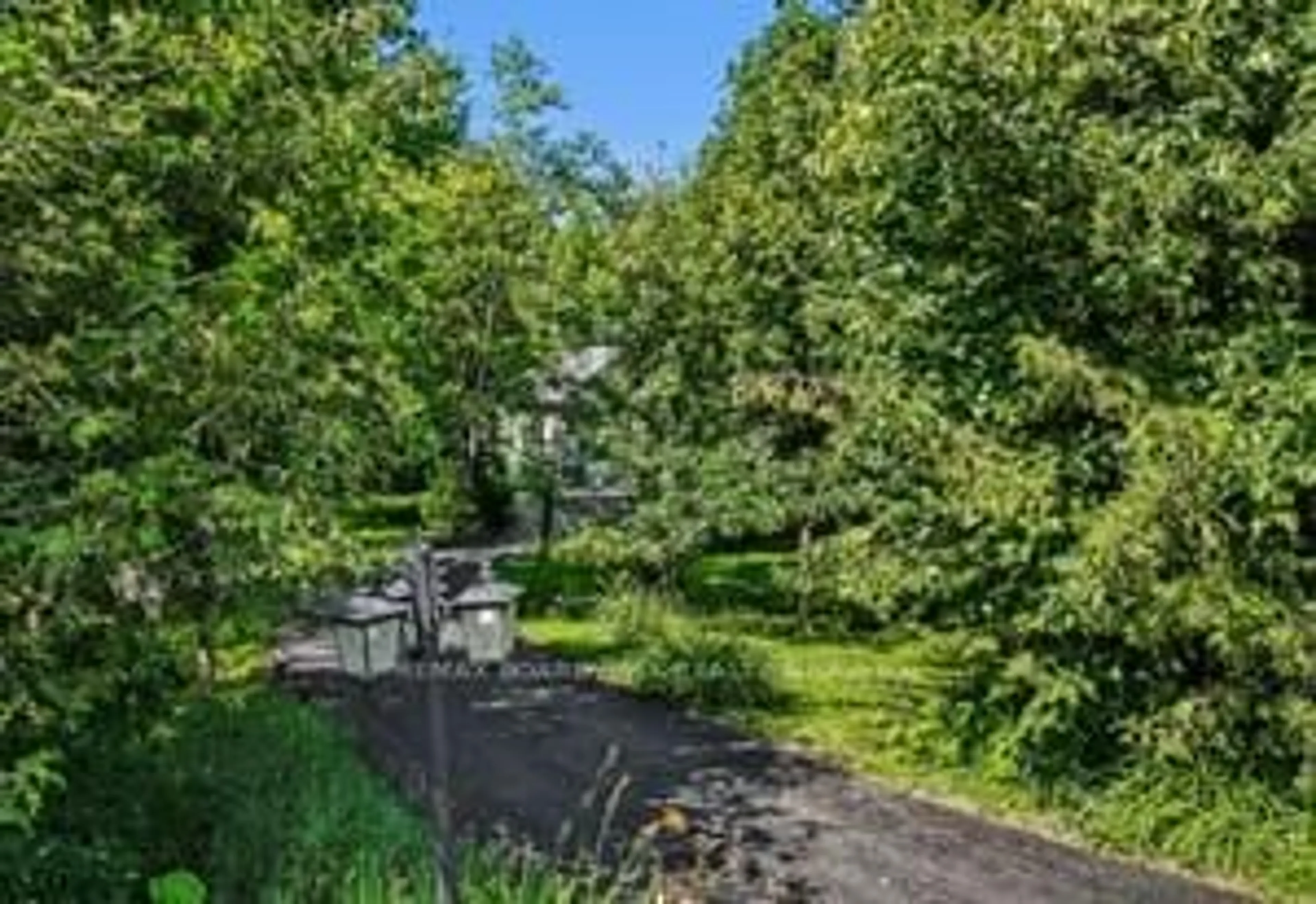 A pic from outside/outdoor area/front of a property/back of a property/a pic from drone, forest/trees view for 2180 Conley Rd, Ottawa Ontario K2S 1B8