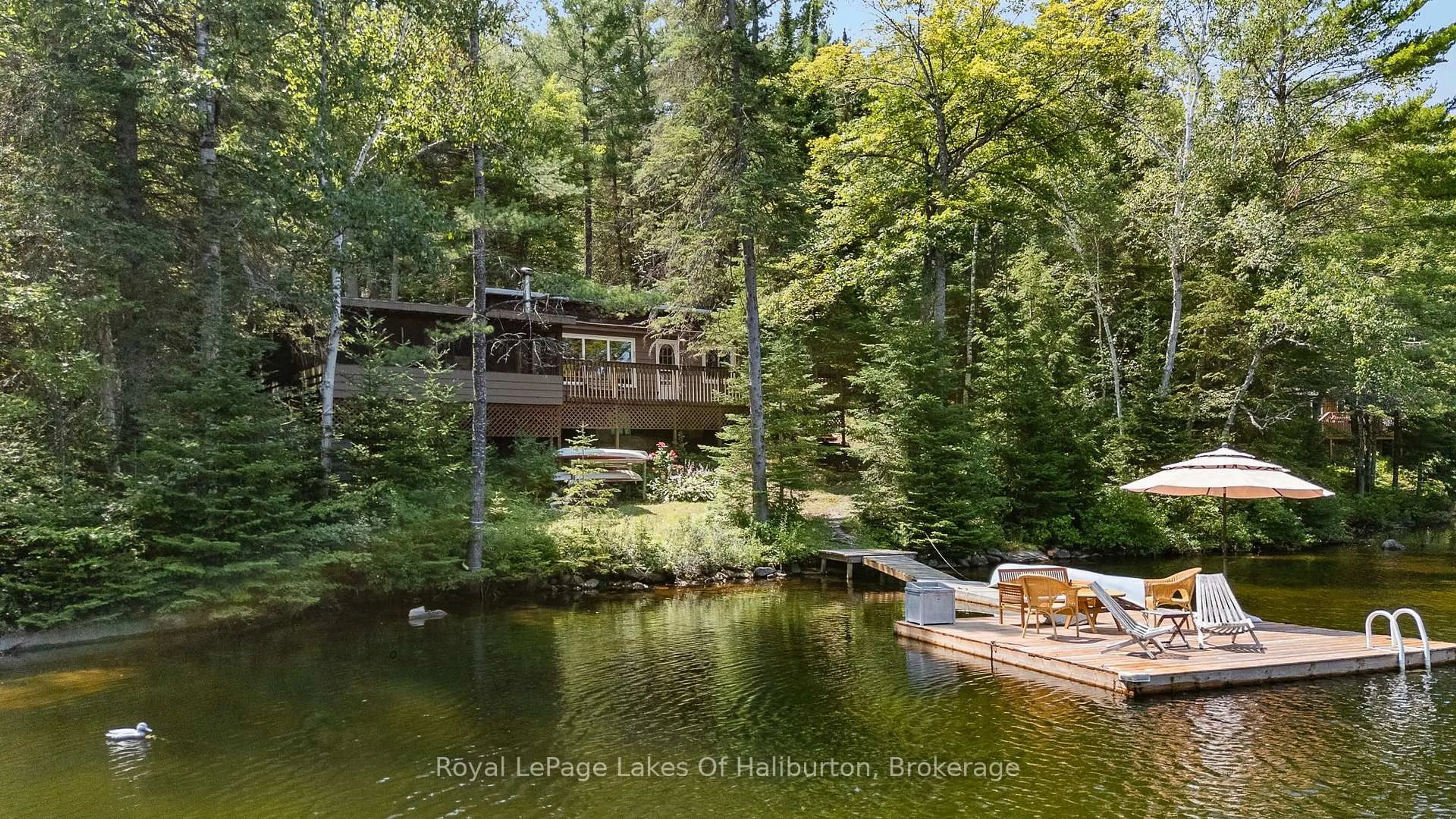 A pic from outside/outdoor area/front of a property/back of a property/a pic from drone, water/lake/river/ocean view for 1481 Universal Rd, Highlands East Ontario K0M 1S0