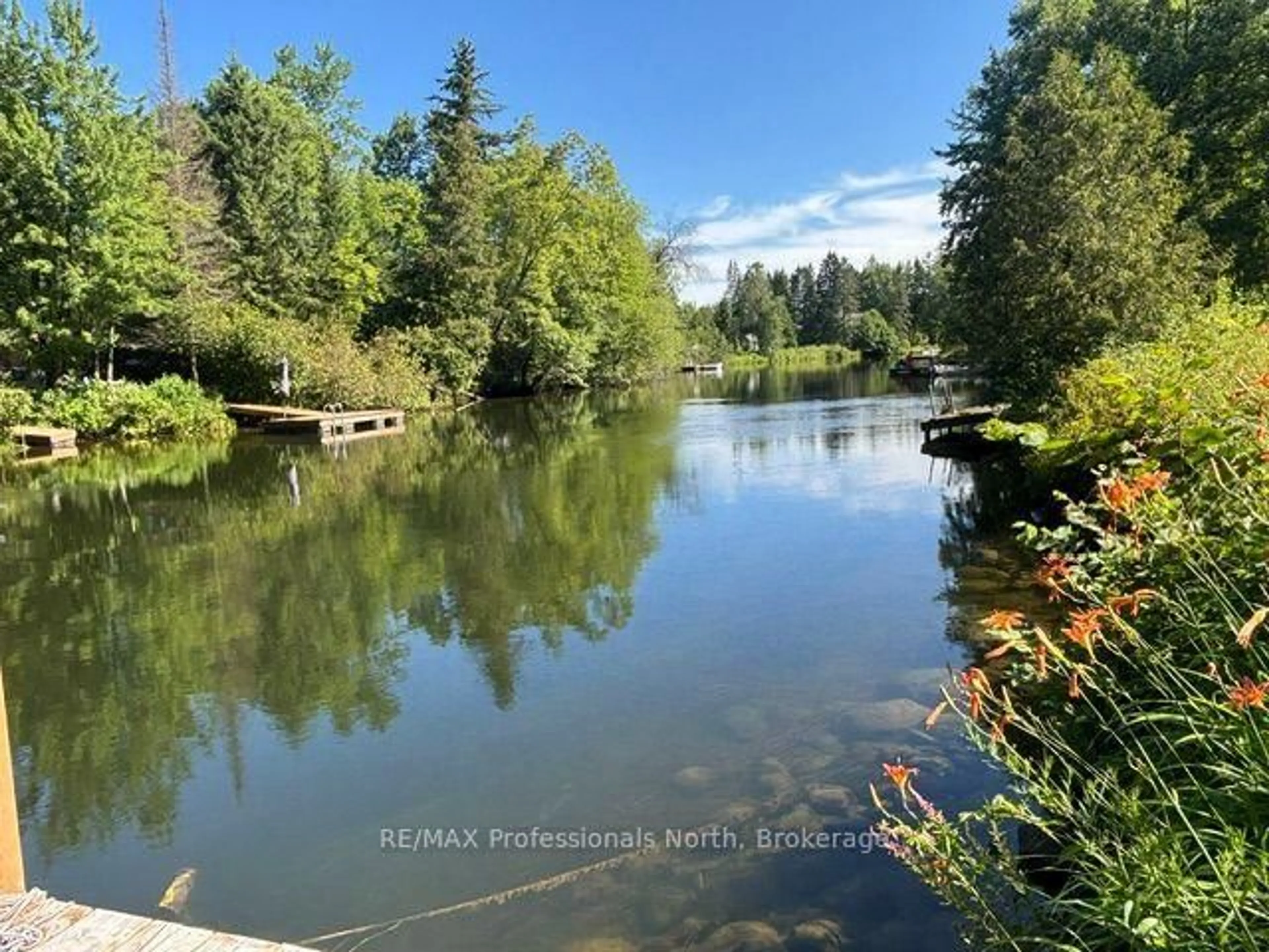 Unknown for 1436 Spring Valley Rd, Minden Hills Ontario K0M 2K0