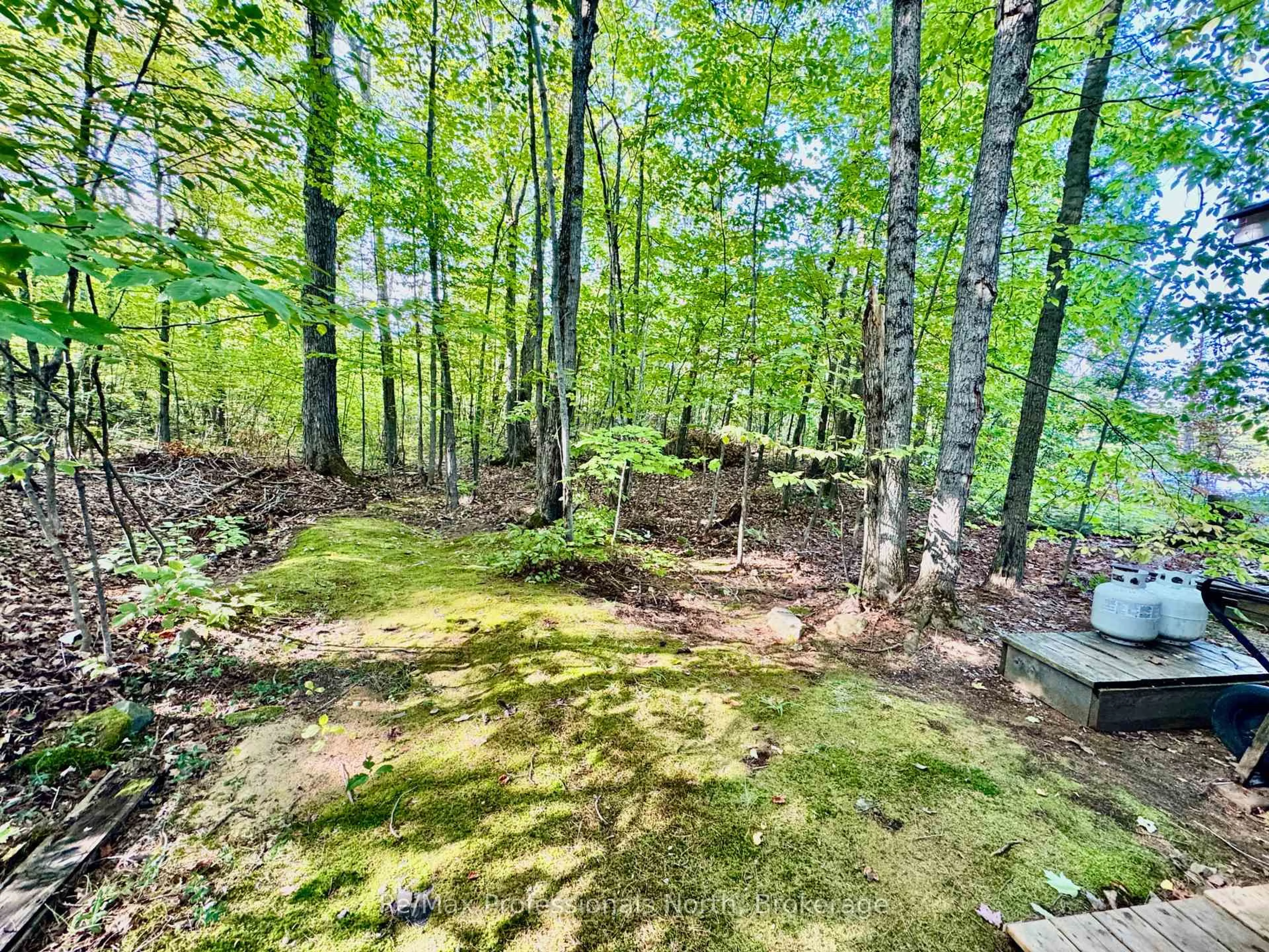 A pic from outside/outdoor area/front of a property/back of a property/a pic from drone, forest/trees view for 1007 Racoon Rd #107, Gravenhurst Ontario P1P 0C4