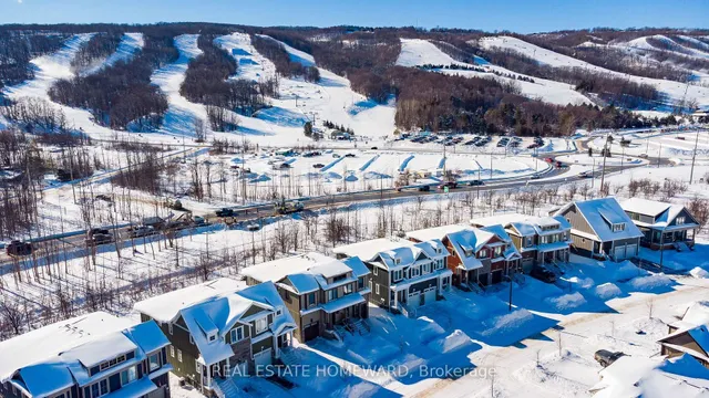222 Yellow Birch Ave, Blue Mountains 2